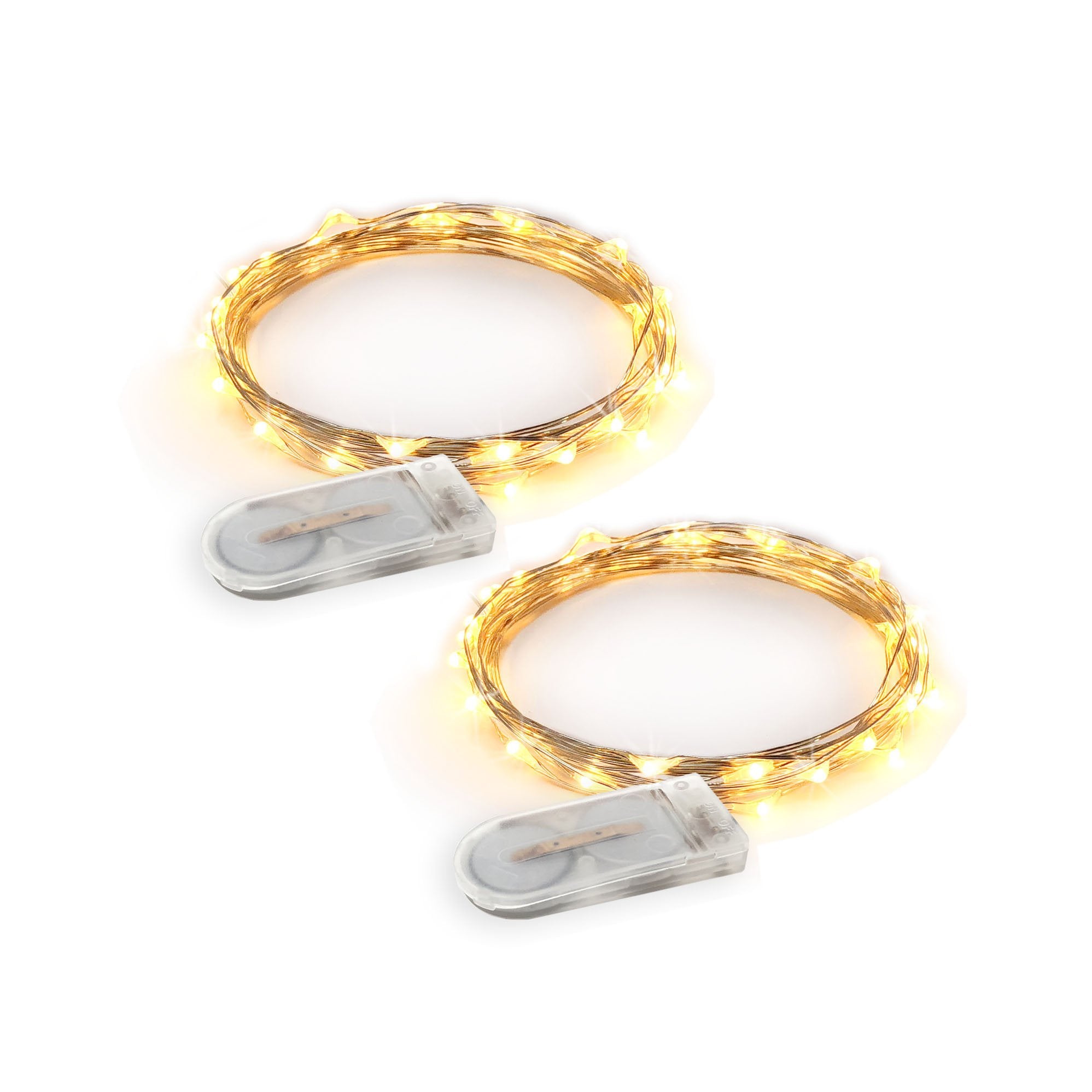 RTGS 2 Sets 20 LEDs Warm White String Lights, 6.5 ft Silver Wire, Battery Powered for Indoor/Outdoor Use