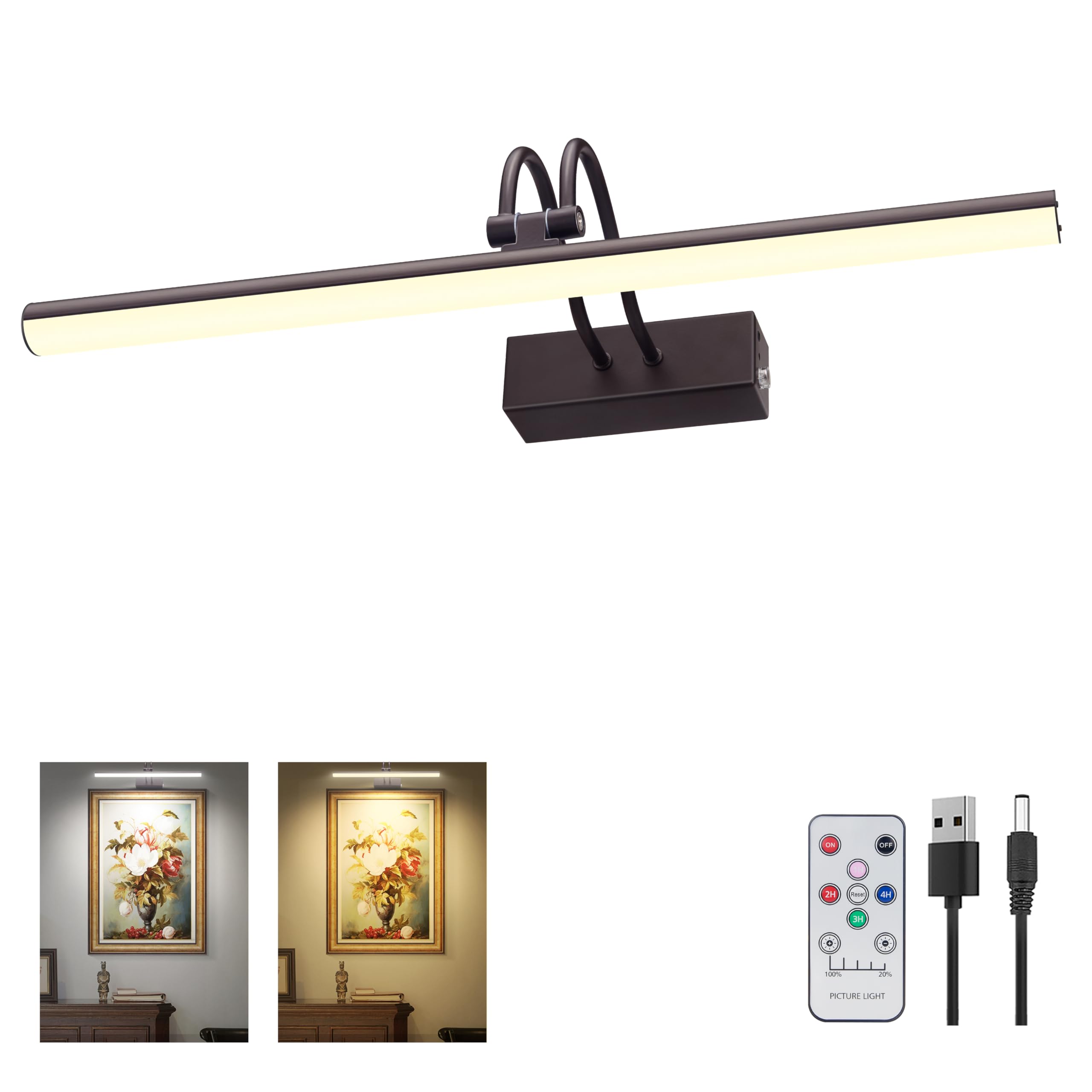 RAIFOOLLY Picture Light,2 Colors Art Lights for Paintings,16&quot; Battery Operated Wall Light,Remote Control Accent Light with Timer and Dimmable for Frame,Portrait,Dartboard-Black