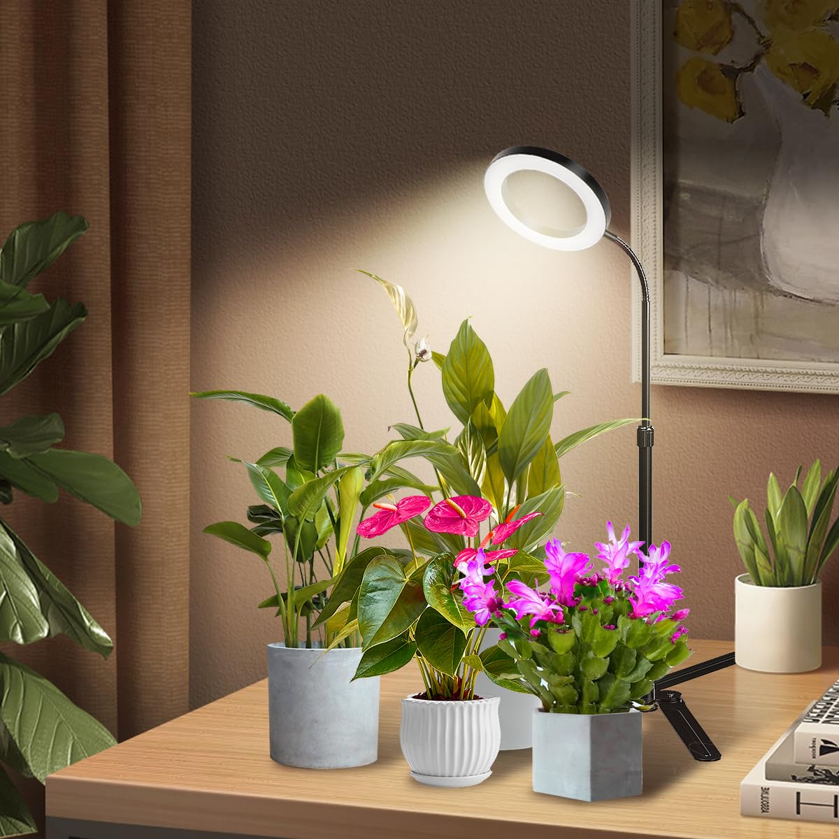 Yeoleh Grow Lights For Indoor Plants, 6000K White Led Full Spectrum Gooseneck Plant Lamp With Dimmable & Height Adjustable For Mini Succulent, Desktop Plants, Auto Timer 4/8/12/18Hrs