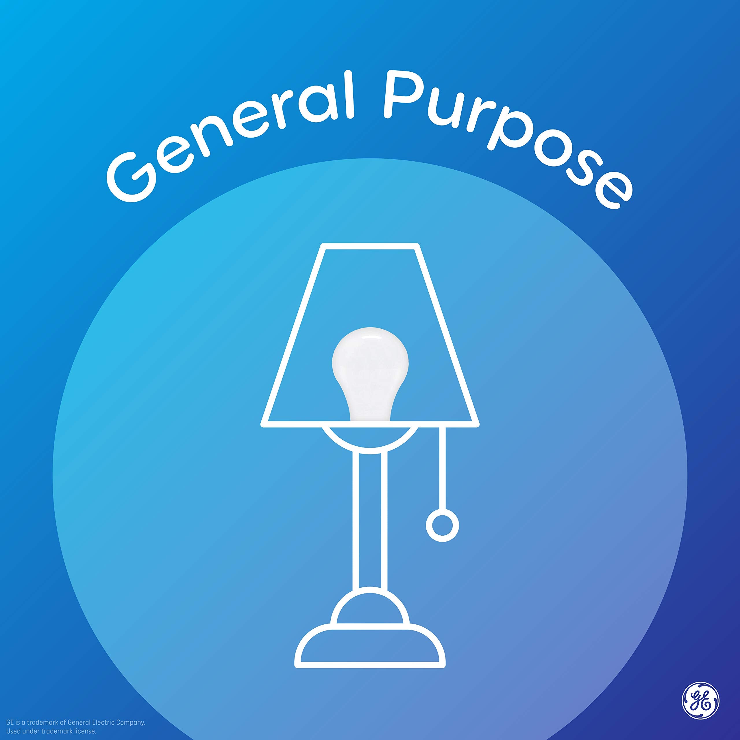 Ge Basic Led Light Bulbs, 100 Watt, Daylight, A19 (2 Pack)