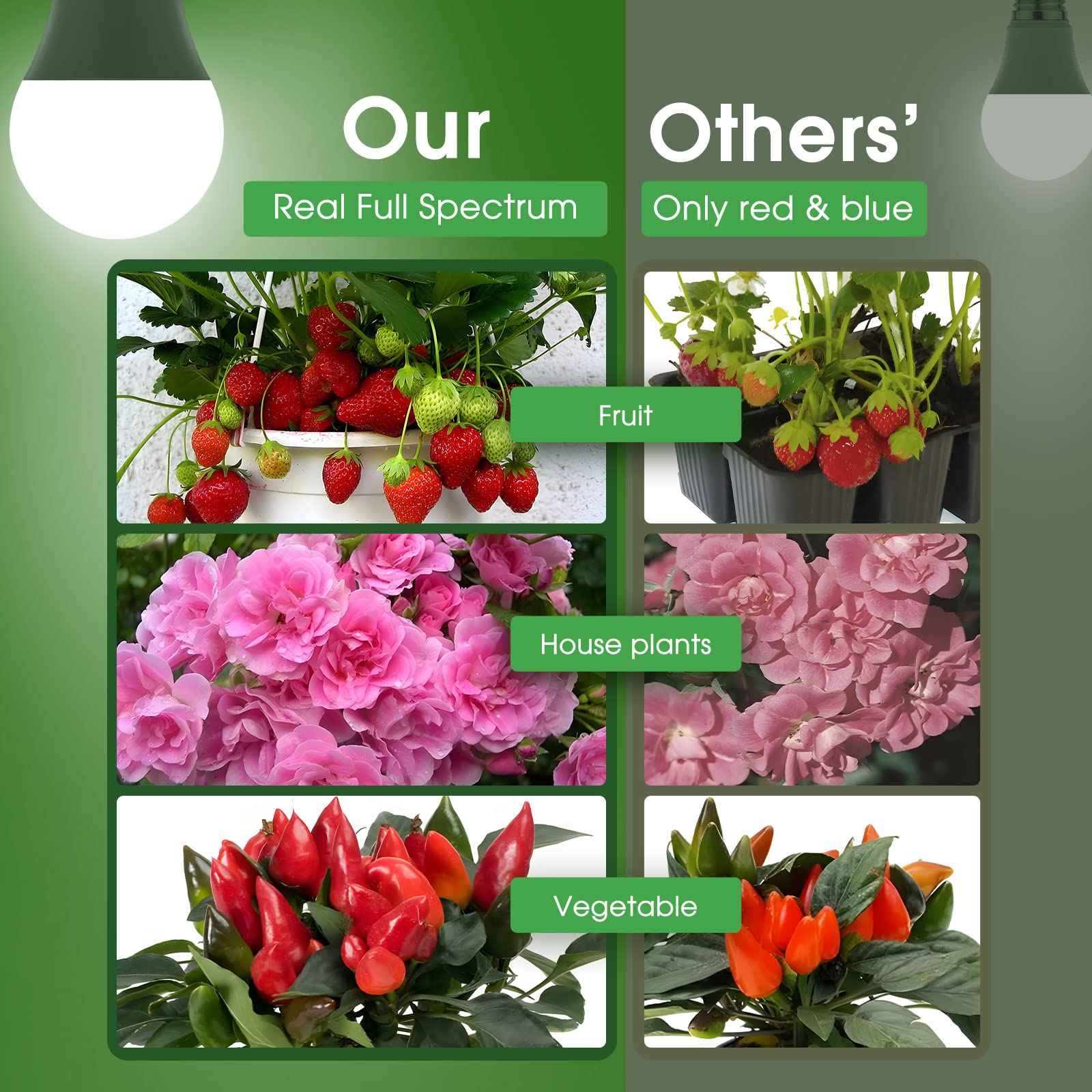 Briignite Grow Light Bulbs, Full Spectrum Grow Light Bulb, Led Grow Light Bulb A19 Bulb, Plant Light Bulbs E26 Base, 11W Grow Bu