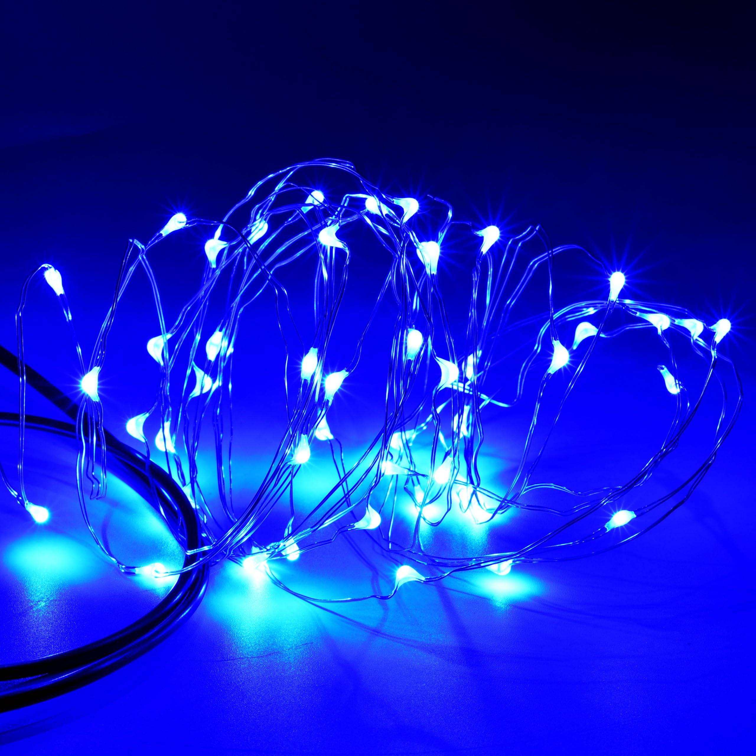 Karlling USB Plug in LED Fairy Lights,50 LED Bulbs 16 Ft Silver Wire Starry String Lights for Bedroom Patio Garden Party Wedding Commercial Lighting (Blue)