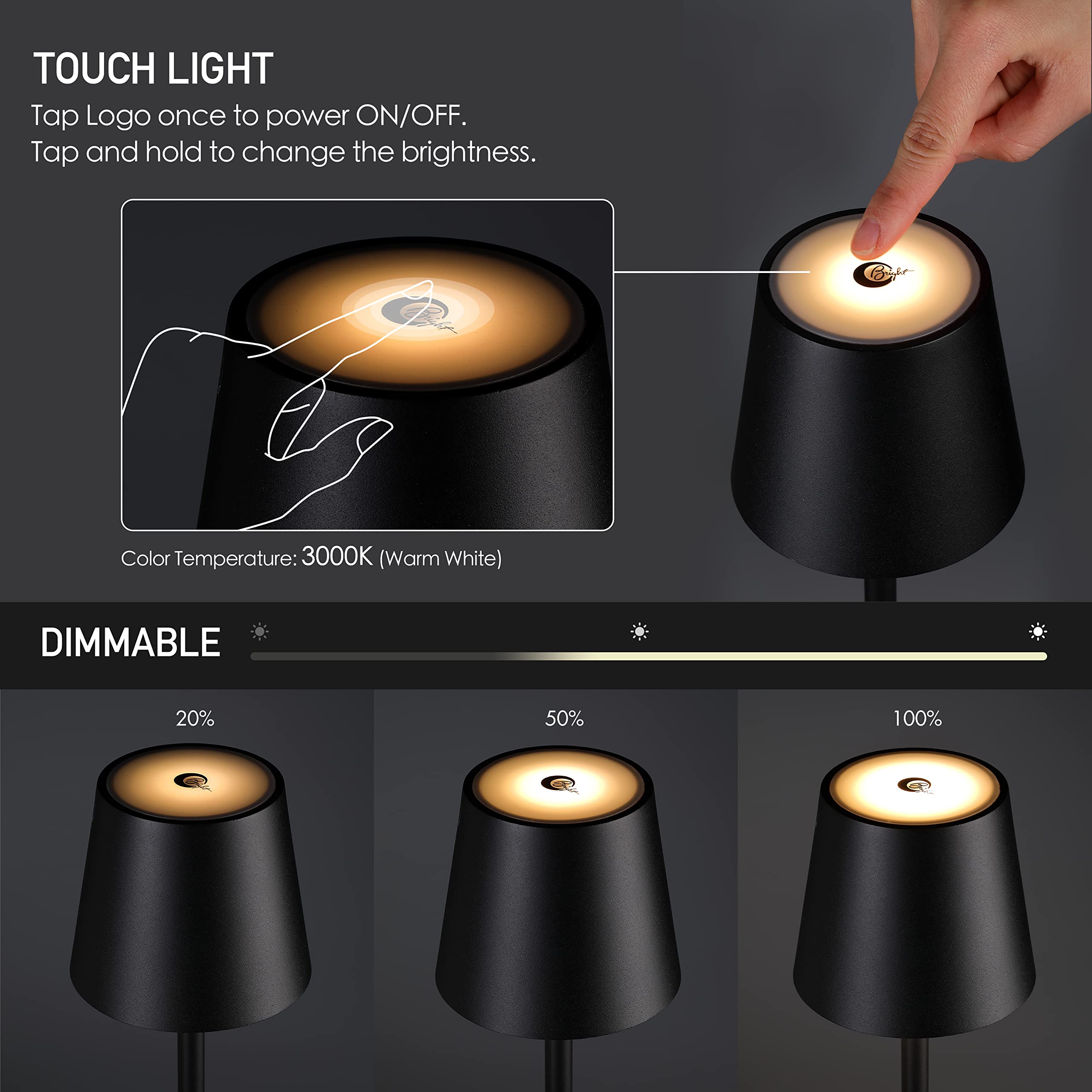 OBright Cordless LED Floor Lamp, Dimmable, Adjustable Height, Water Resistant, Black, Model OB-FL21B