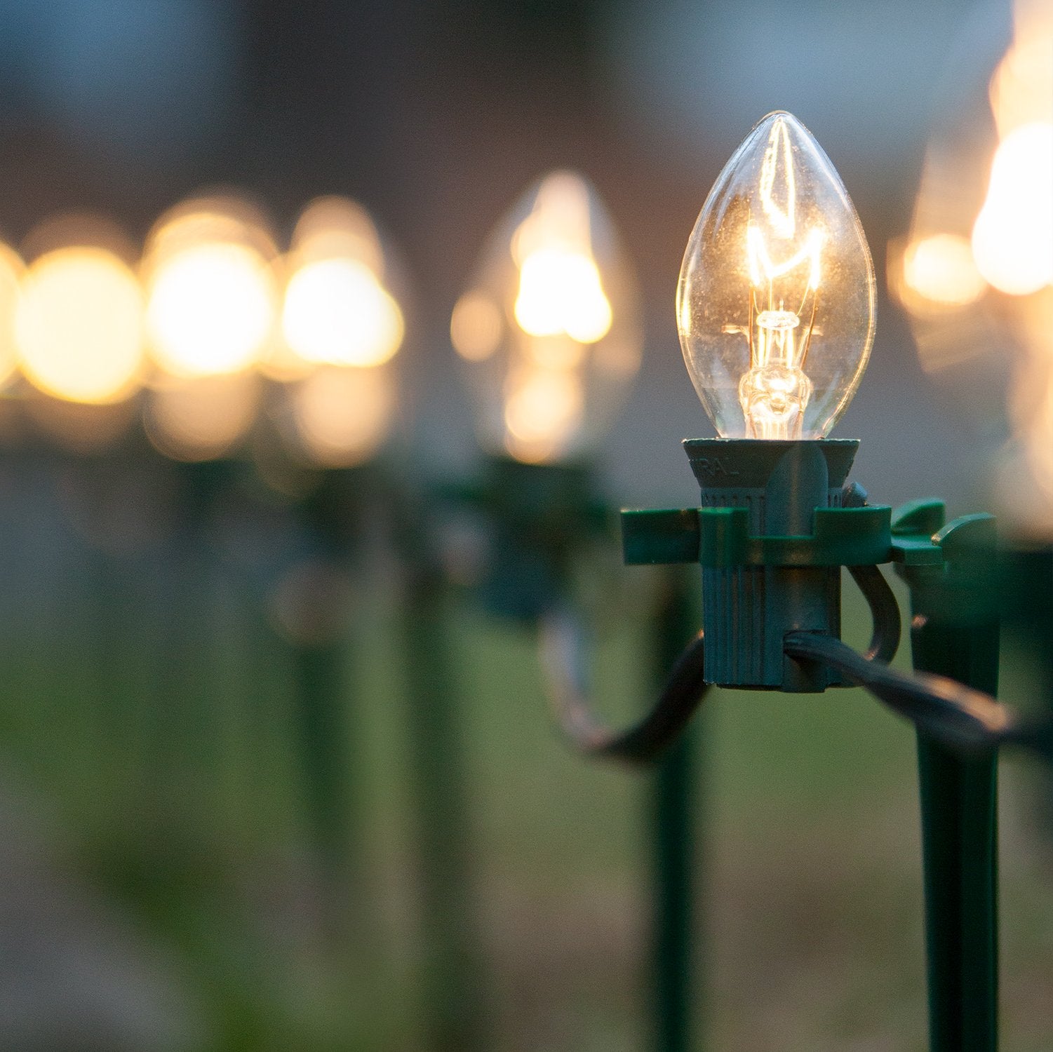 Wintergreen Lighting C7 Christmas Pathway Lights, 100 Ft, Clear Glass Bulbs, Green Wire, 7.5” Stakes