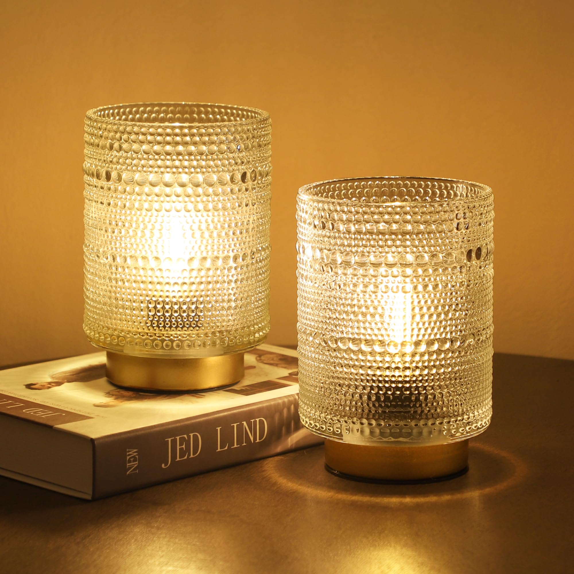 2 Pack Battery Operated Decorative Lamp with Timer for Bedside,Small Cordless Table Lamps with LED Warm Bulb for Shelf/Coffee Ta