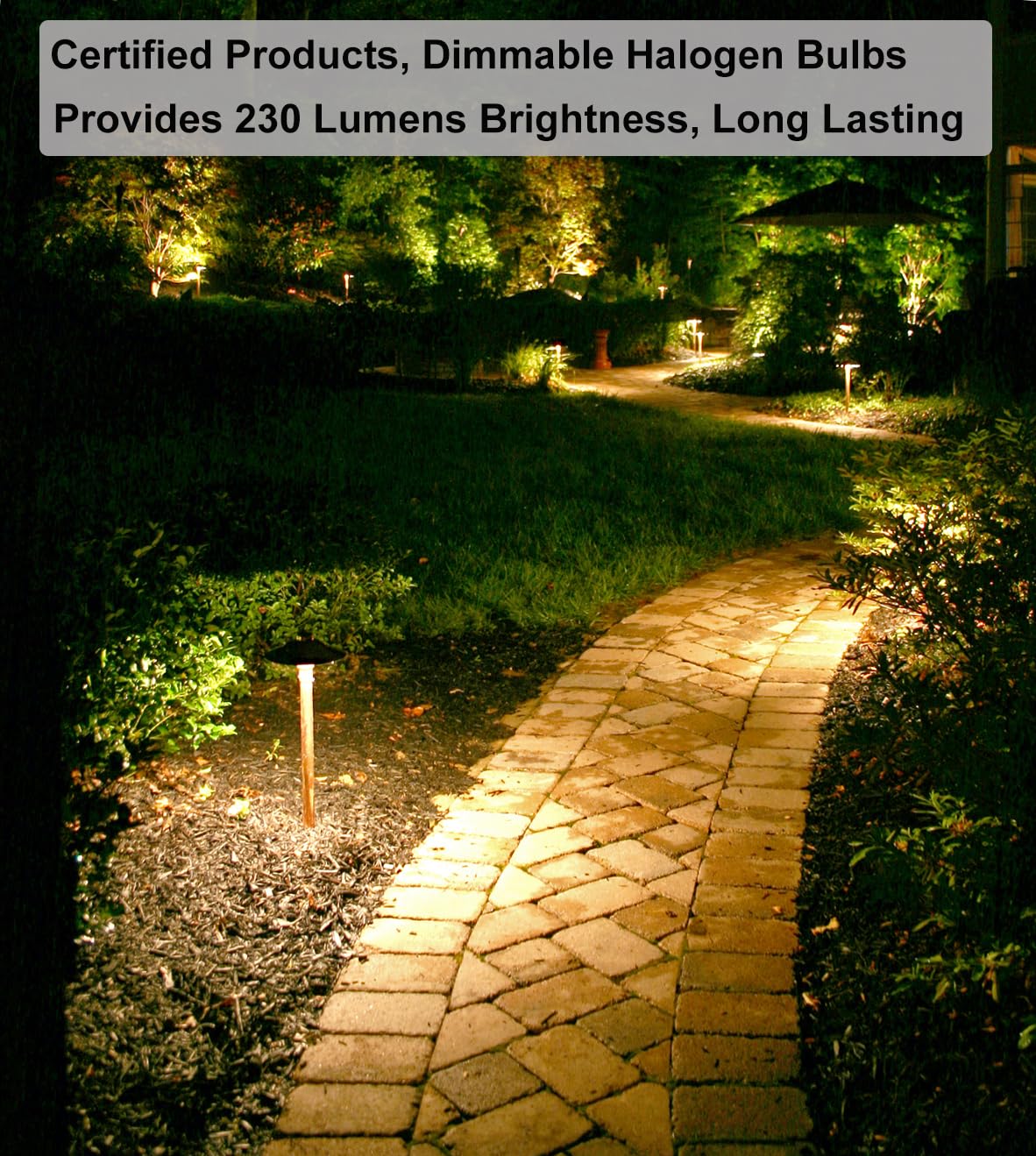 Vannise G9 Halogen Bulb 25 Watt-10 Pack Long Lasting G9 Bulb 25W 120V, Halogen Bulbs 2 Pin G9 Dimmable 2800K Warm White, High Ou