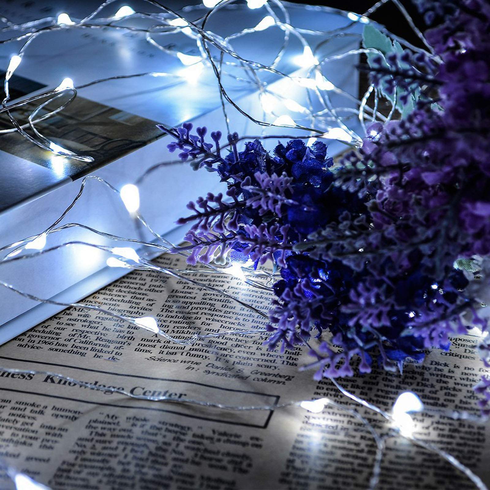 RUICHEN Fairy String Lights 200 LED 66 Ft USB Cool White Copper Wire UY-20M200L