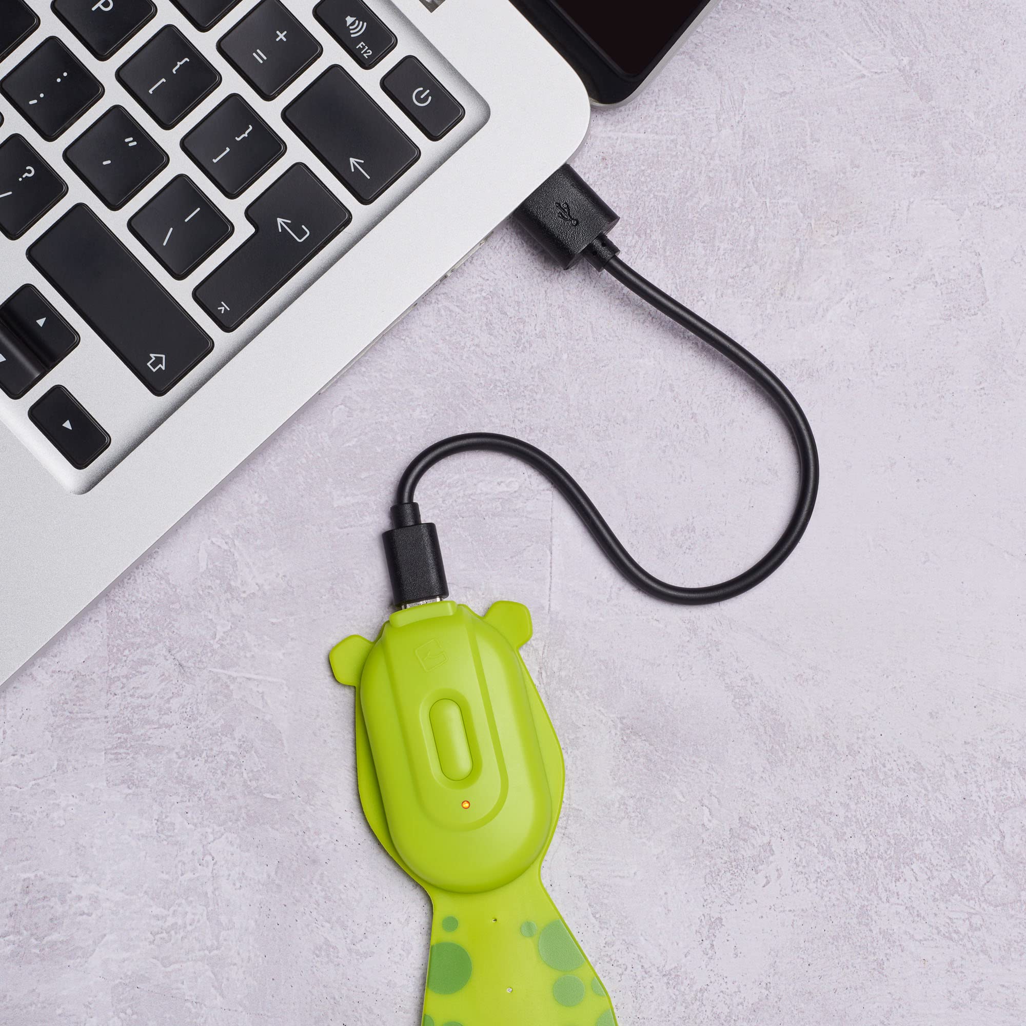 Gifts For Readers & Writers Flexilight Pal Bookmark Reading Light - Rechargeable Led Clip On Lamp, Frog Color, Model Flp