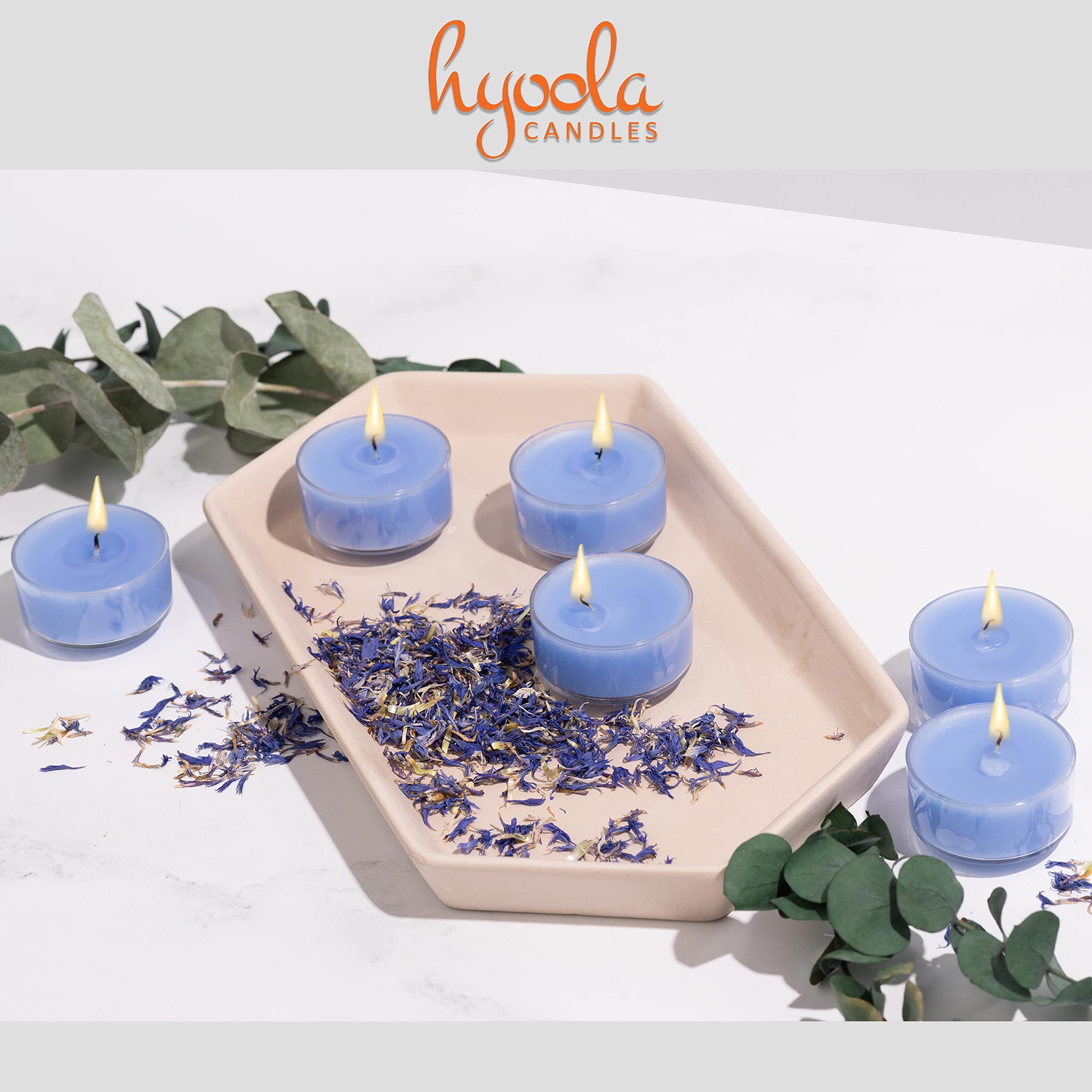Hyoola Scented Tealight Candles - 15 Pack - 6 Hour Burn Time - Clear Cup - Wellness Light Blue - Model H10222 - Wax Material