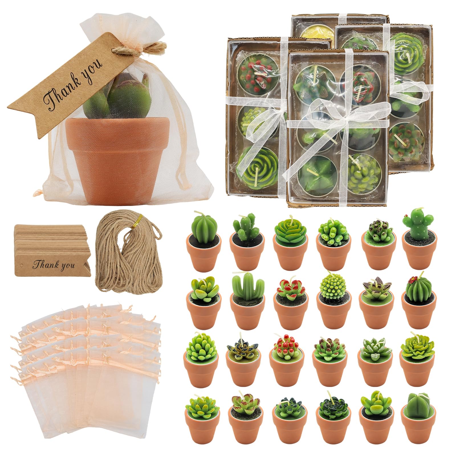 AZEAM 24 Pcs Succulent Candles Party Favors, Bulk Cactus Table Decor with Mini Terracotta Holders, Tiny Handmade Plant Tealights