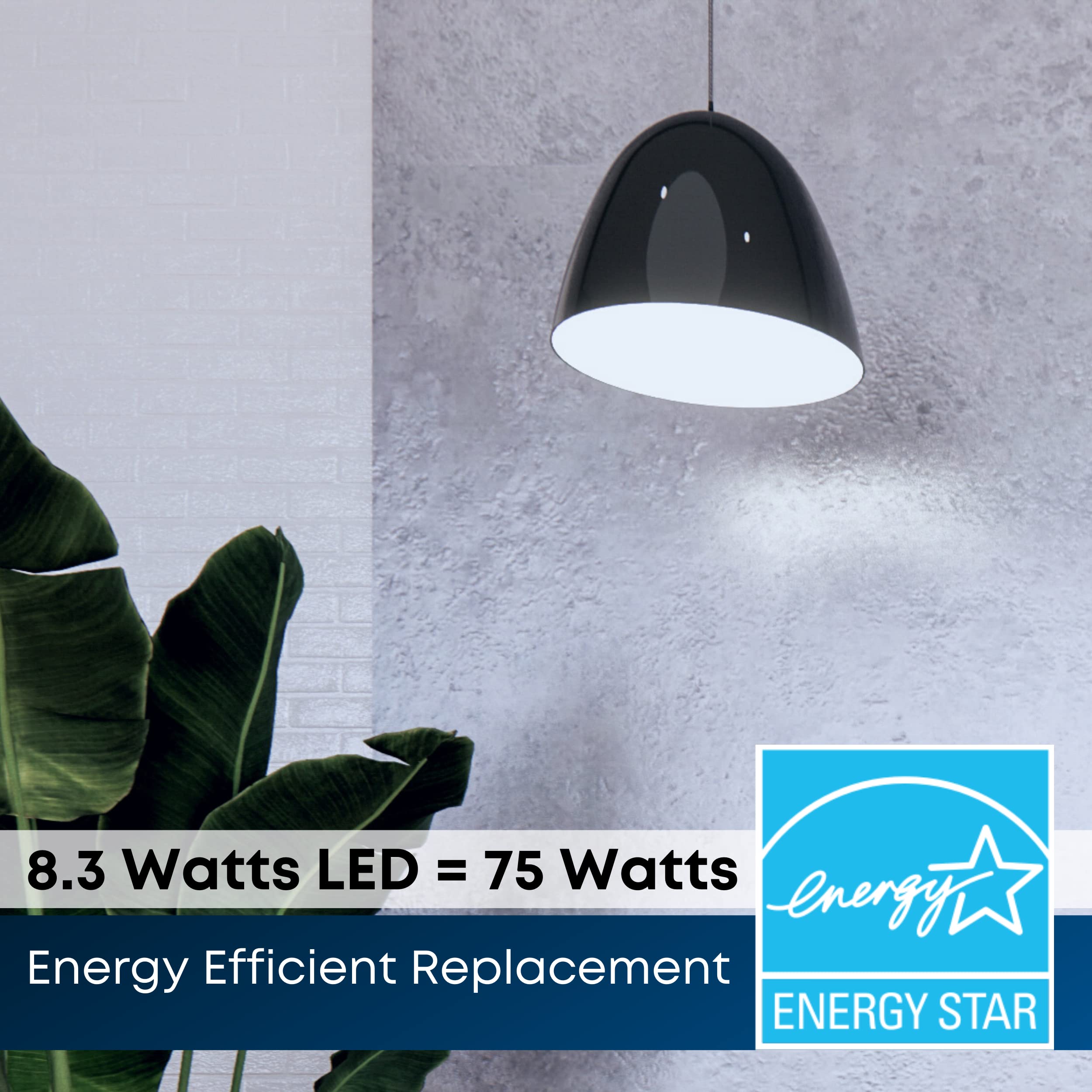Feit Electric Led Par30L Bulbs, 75W Equivalent, Dimmable, 5000K Daylight, 750 Lumens, 22 Year Lifetime, E26 Base, Par30 Flood Li