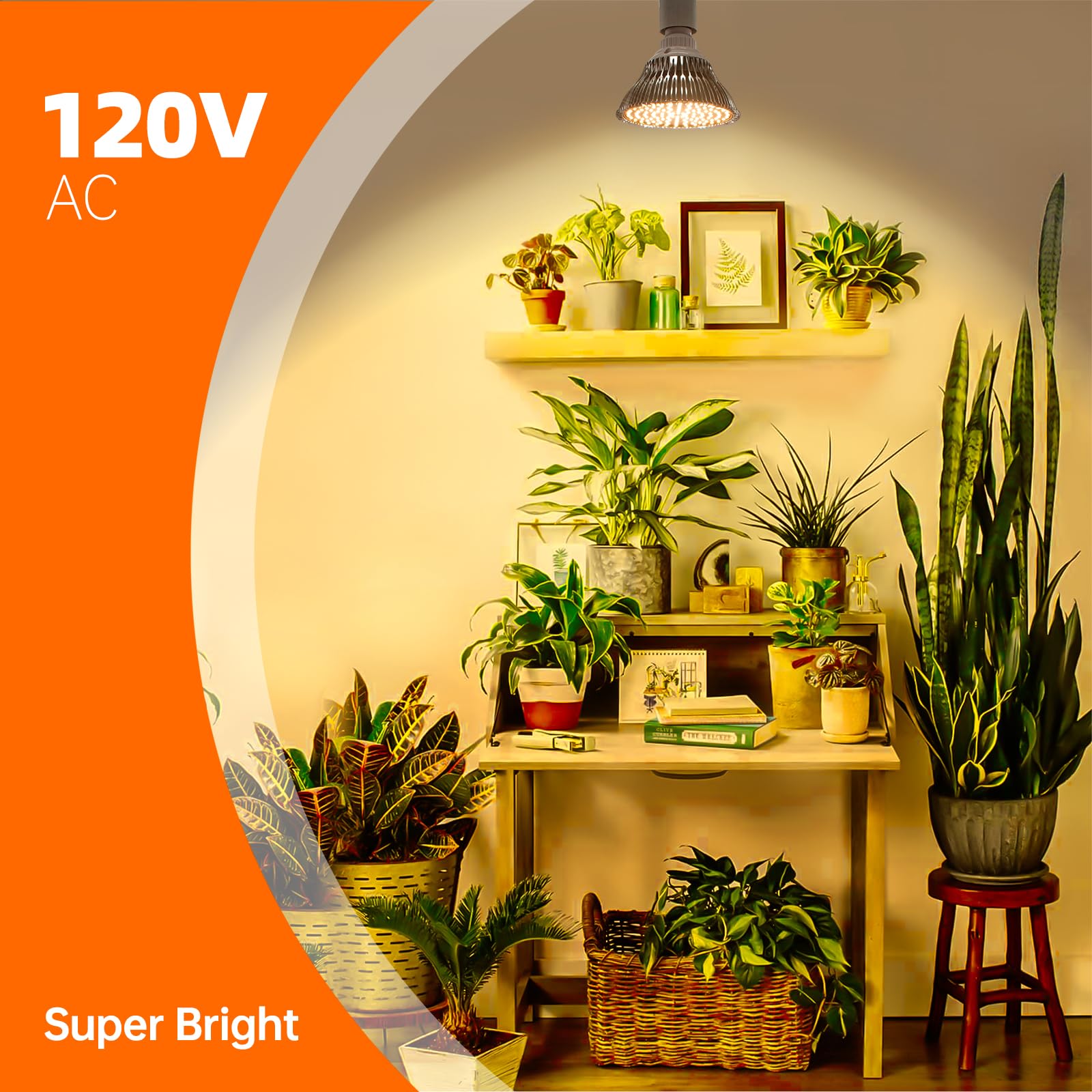 Bstrip Led Hanging Grow Light, Grow Light Bulb For Indoor Plants, 25W Full Spectrum Hanging Grow Light,3000K Plant Light Bulbs W