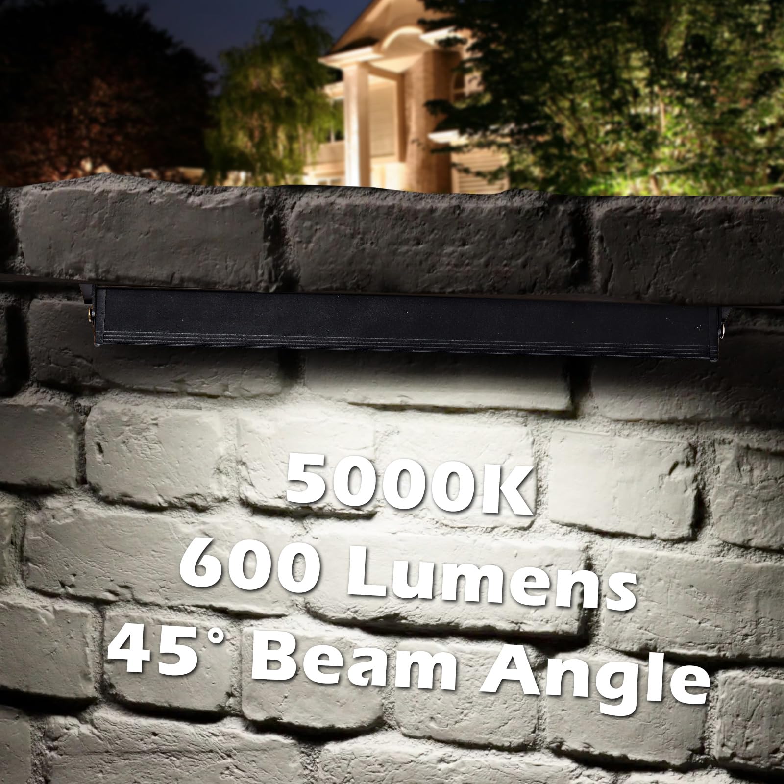 Modern 12Inch 5W Hardscape Lighting,5000K Daylight White Retaining Wall Lights,12V Ac/Dc Low Voltage Landscape Paver Lights,Ip65