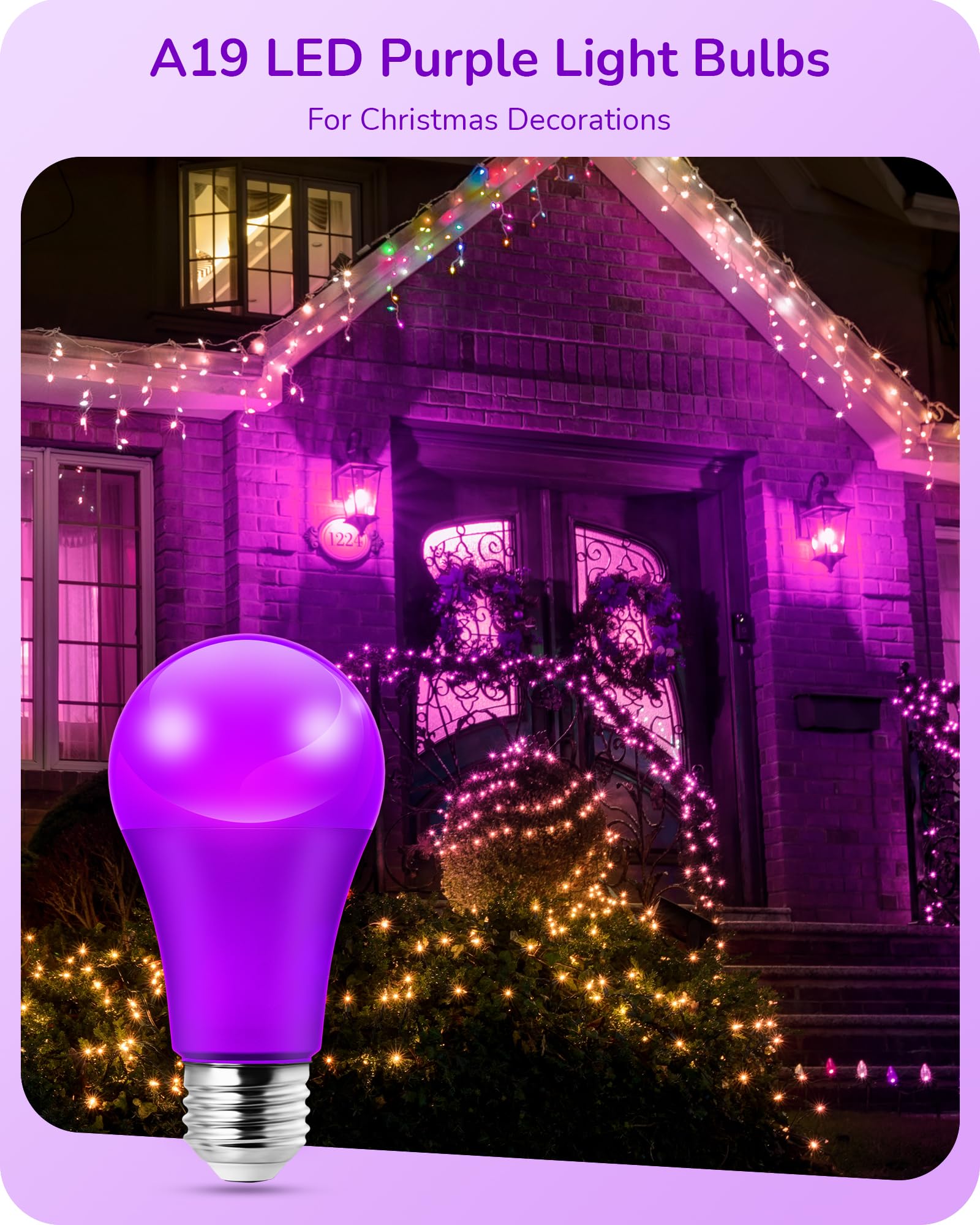 EDISHINE Purple LED Light Bulbs, 14W Purple Bulb Equivalent 100W Colored Light Bulb, E26 Base A19 Light Bulbs for Christmas Deco