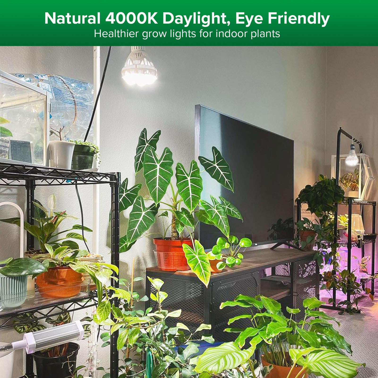 SANSI Grow Light Bulb, 36W Full Spectrum LED, Optical Lens, 1 Count, White, Model C21GL-CE26-36W