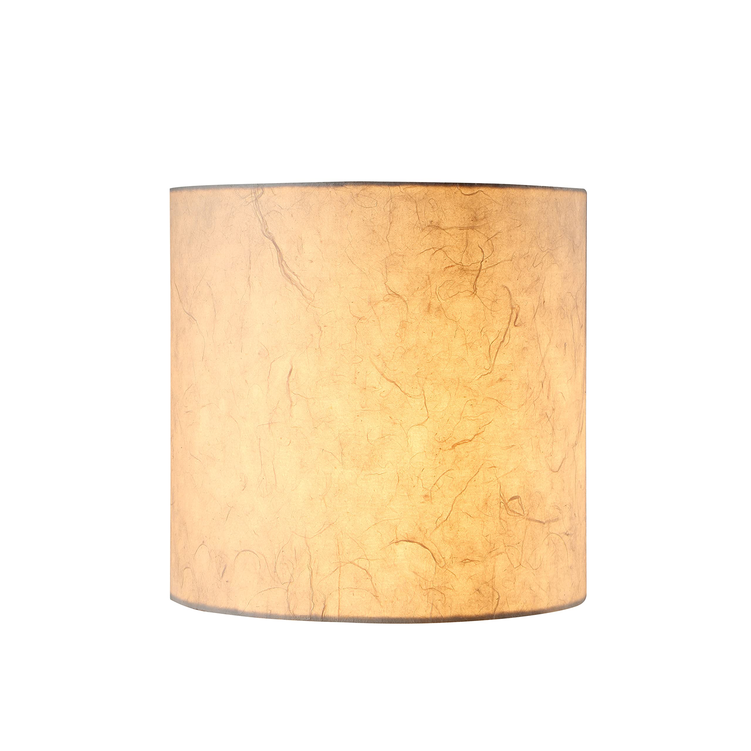 Aspen Creative Drum Lamp Shade, Off White, 8in x 8in x 8in, Model 31240A, Dragon Paper Material