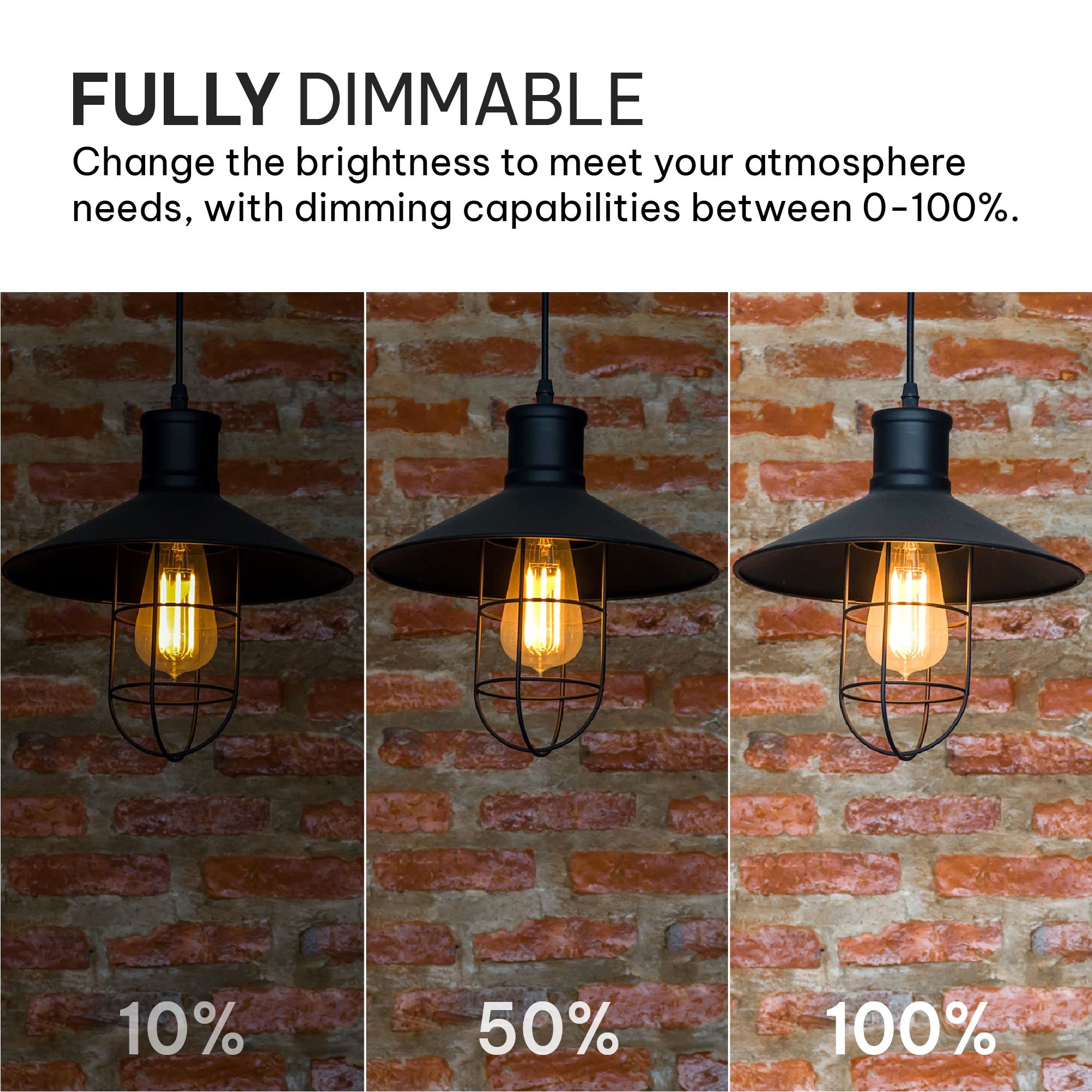 Hudson Bulb Co. 6W Vintage Edison Light Bulbs - 2700K Warm, Dimmable, E26/E