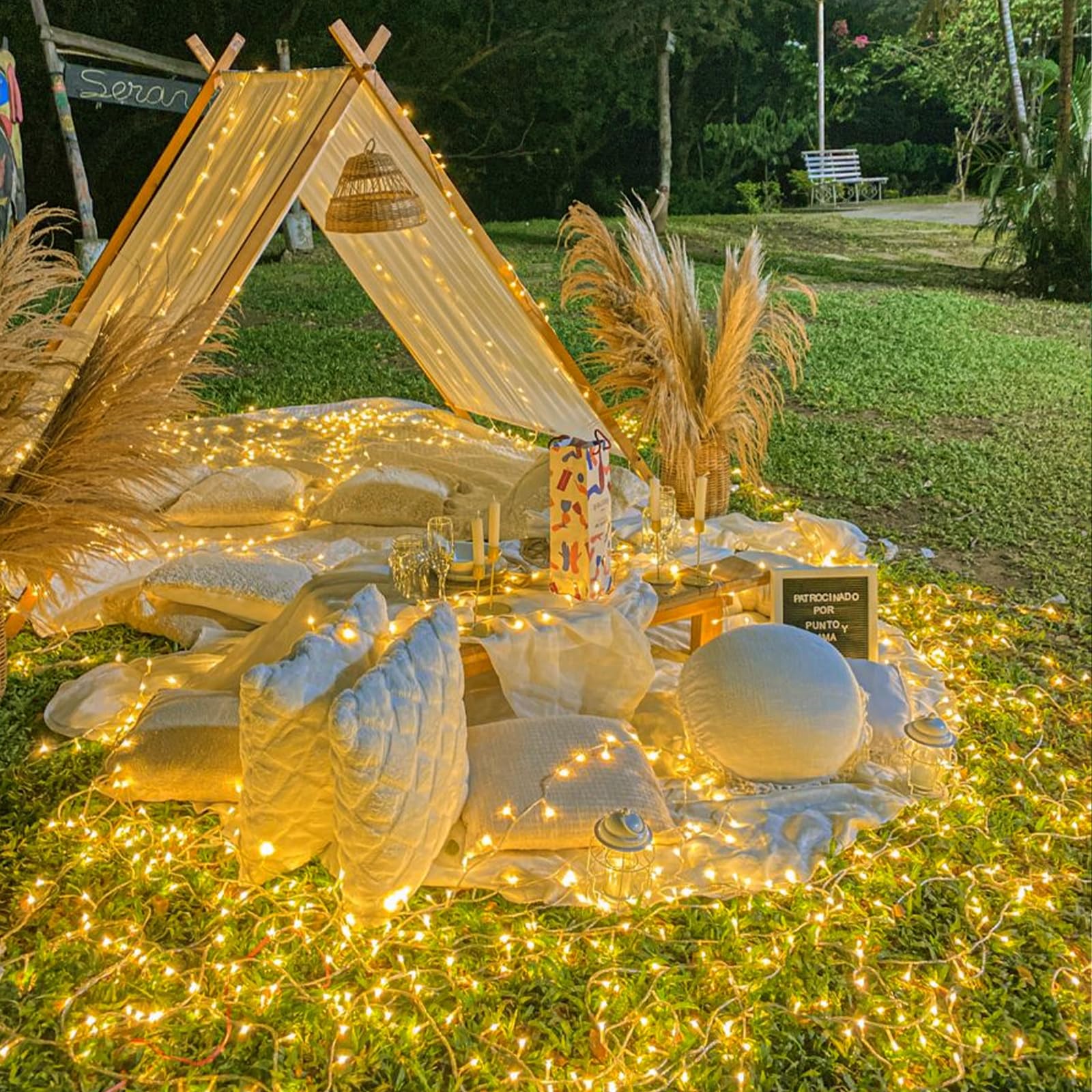 Nielfoi 66 FT Warm White String Lights, 200 LED, Waterproof, 8 Modes, Indoor/Outdoor, Model BG-CL3M3-306L01