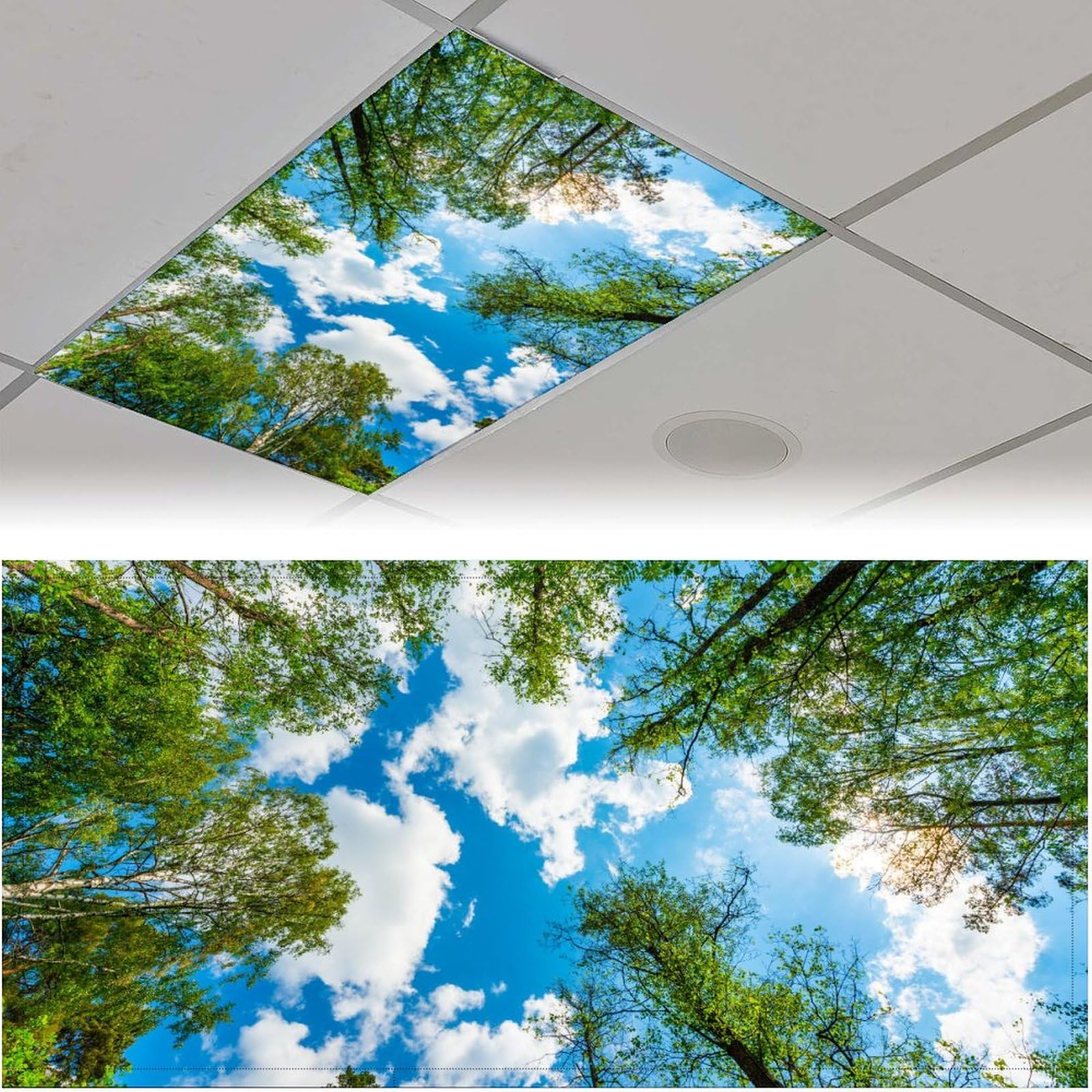 RoseFace Fluorescent Light Covers, Magnetic Filters for Classroom & Office, 4x2 Feet, Tree Color, Model 2024040202