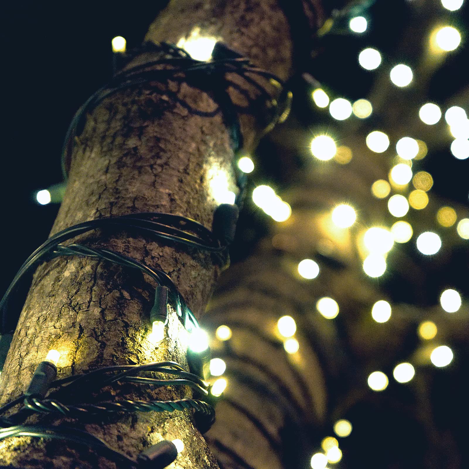 Asenek Christmas Lights - Battery Operated String Lights 50 Led String Lights Mini Lights With Auto-Timer And 8 Lighting Modes For Christmas Wreath Party Wedding Garden Home Decoration, Warm White