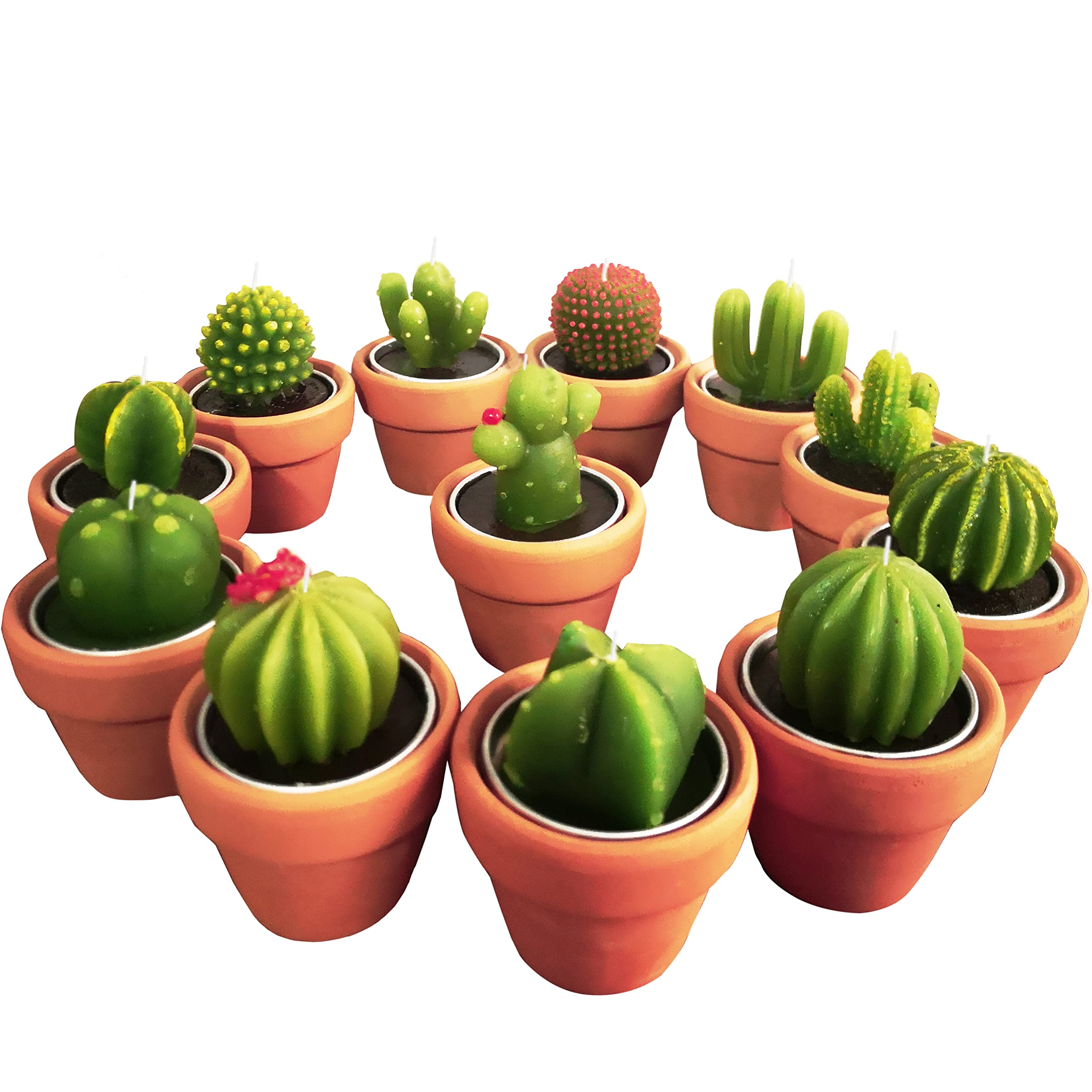 TIMECOSY Succulent Candles - Green Paraffin Wax Cactus Tealight Candle, 12 Pack, Baby Shower Party Favors, Home Decor