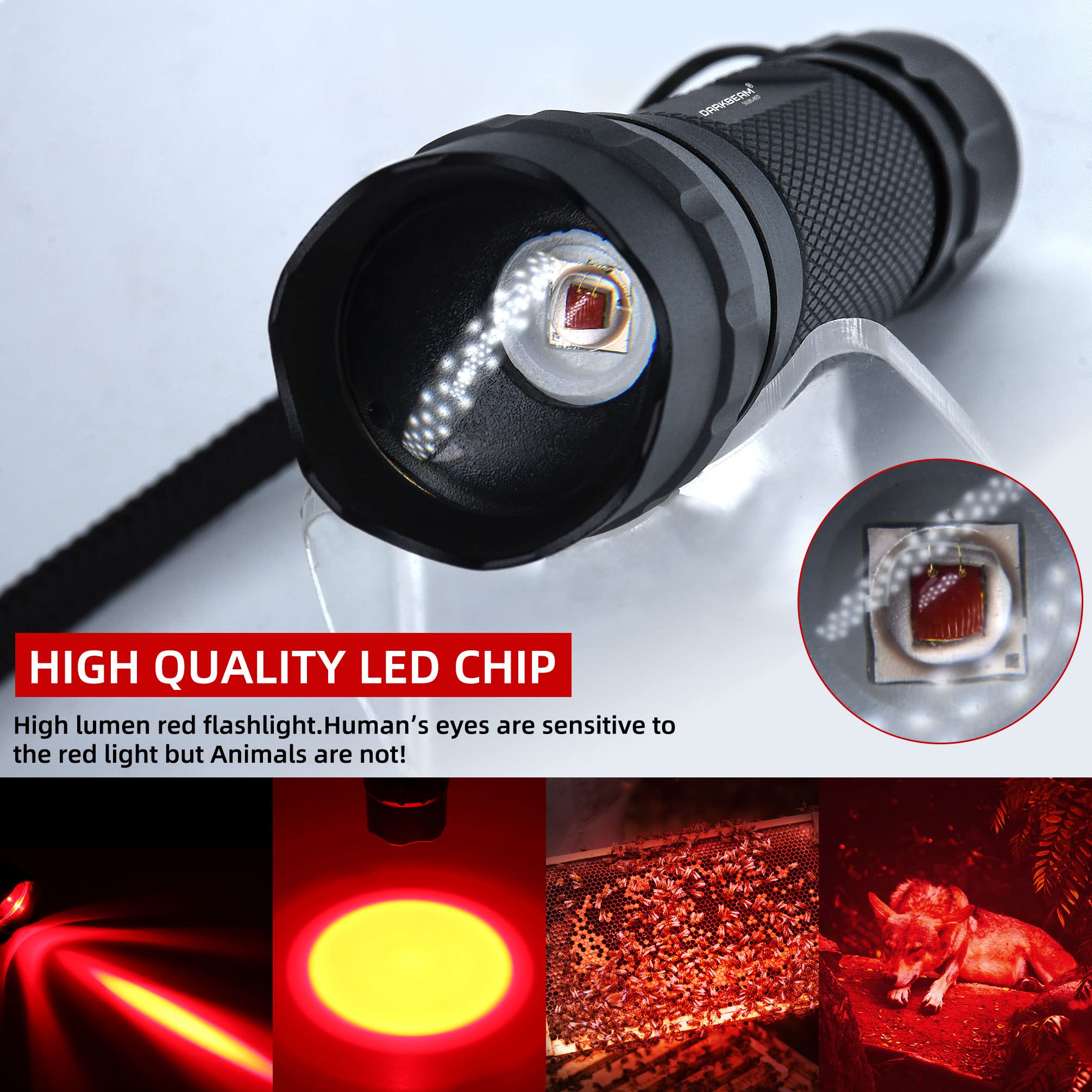 DARKBEAM Tactical LED Red Light Flashlight, Rechargeable, Pocket Size, Aluminum, Model 501B-S, Zoomable, Ideal for Fishing & Hunting