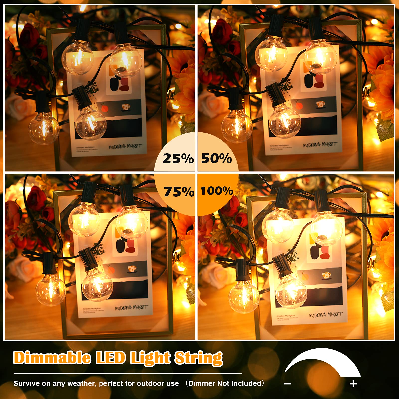 Brightever G40 LED Globe String Lights 100FT Waterproof Dimmable Shatterproof, Clear/Black, Model YGL-KE-05