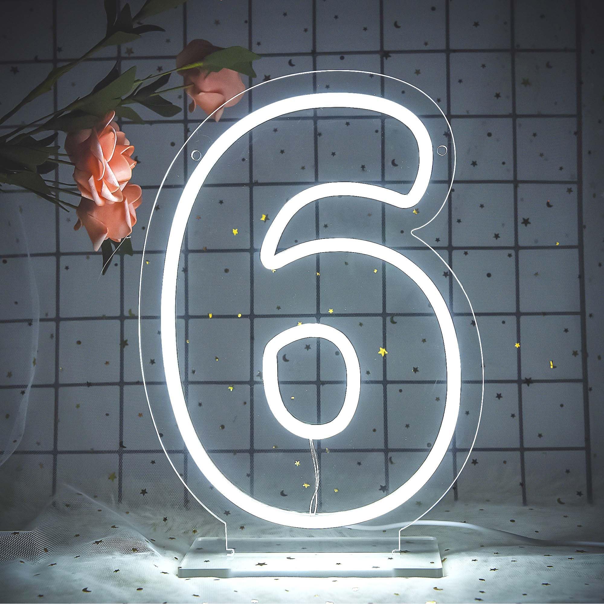 attneon Number 6 Neon Sign, LED Light Up 6 Numbers, Size 11.8x8.3 inches, Silicone Material, Model JTLD108