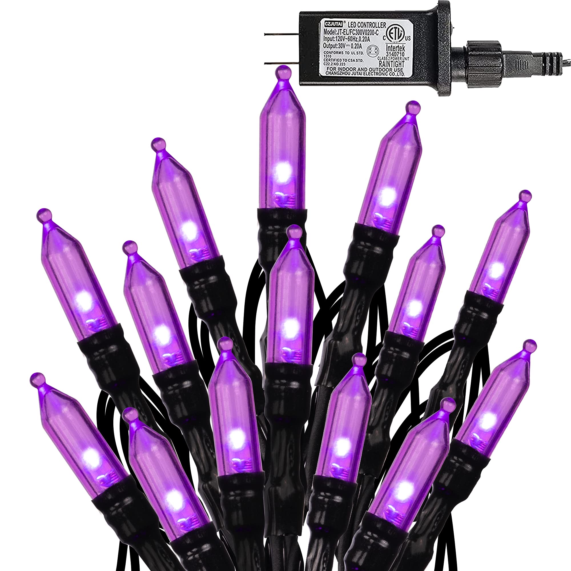 Dazzle Bright 200 LED Mini String Lights, 65FT, Purple, 8 Modes, Model HB-200DCOI, Indoor/Outdoor Halloween Decorations