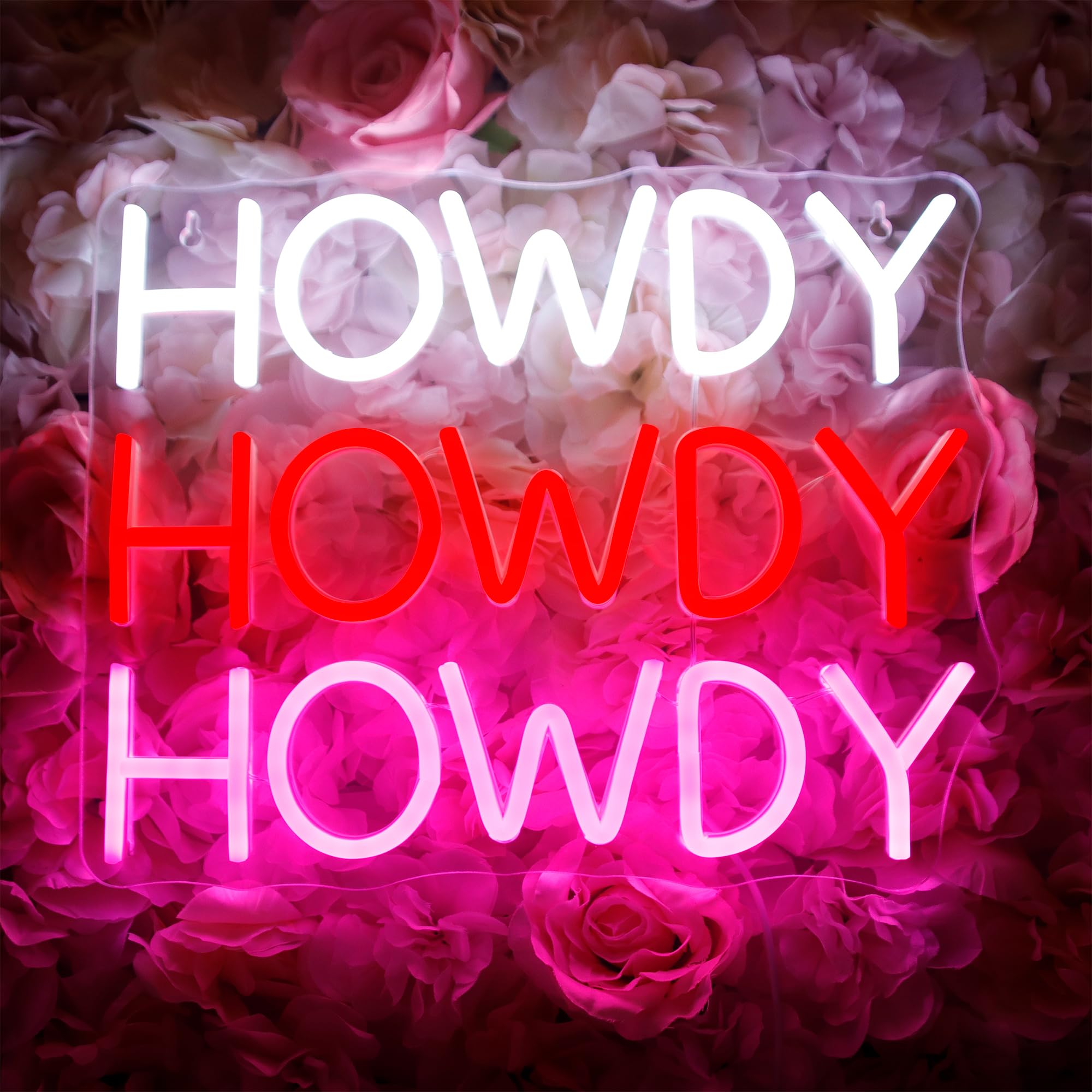 Howdy Neon Signs for Wall Decor, LED Signs Pink Howdy Neon Light Signs for Bedroom, LED Wall Art USB Powered for Bedroom Wedding