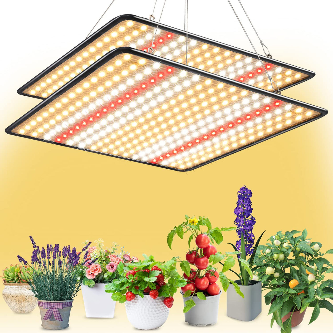 200 watt led grow light bulb BAVIHOR 200W LED Grow Lights (2-Pack)