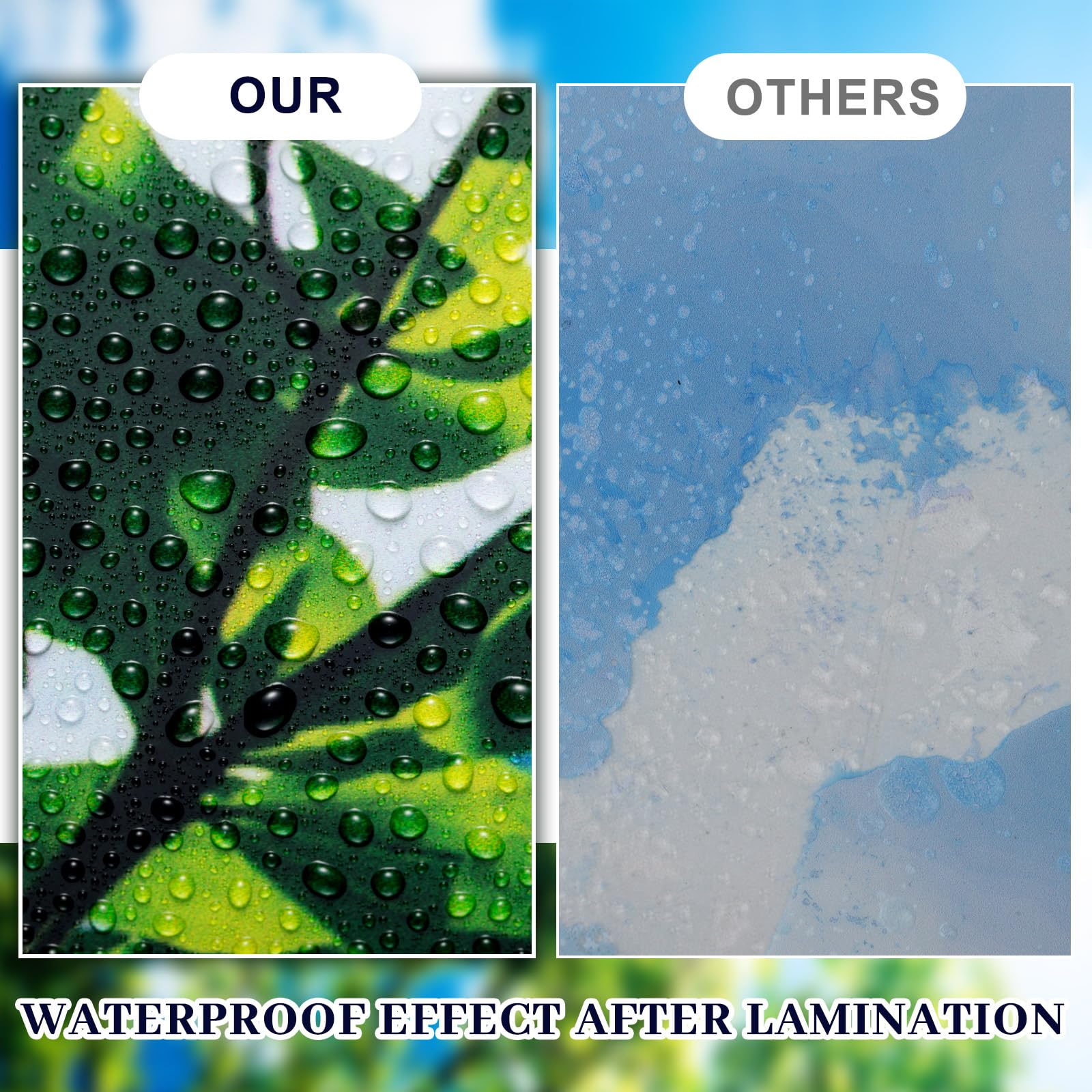 Amylove Fluorescent Light Covers Plastic Diffuser Panels 2x4 Feet Sky Model AL-FLC-002 for Classroom Office Kitchen