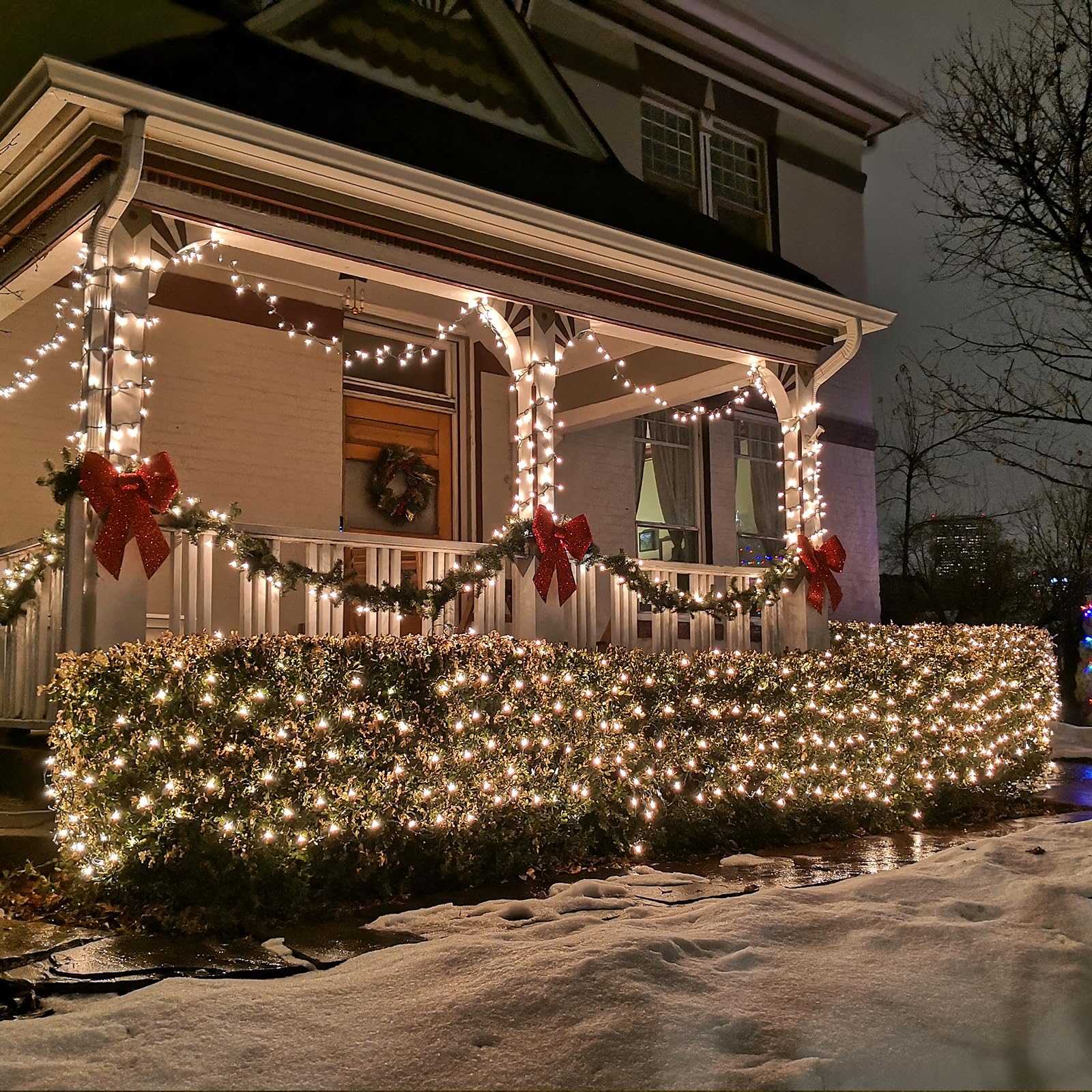 Eueasy LED Net Lights, 270 LEDs, 10x10FT, 8 Lighting Modes, Outdoor Use, Connectable, Model BG-CL3M3-306L01