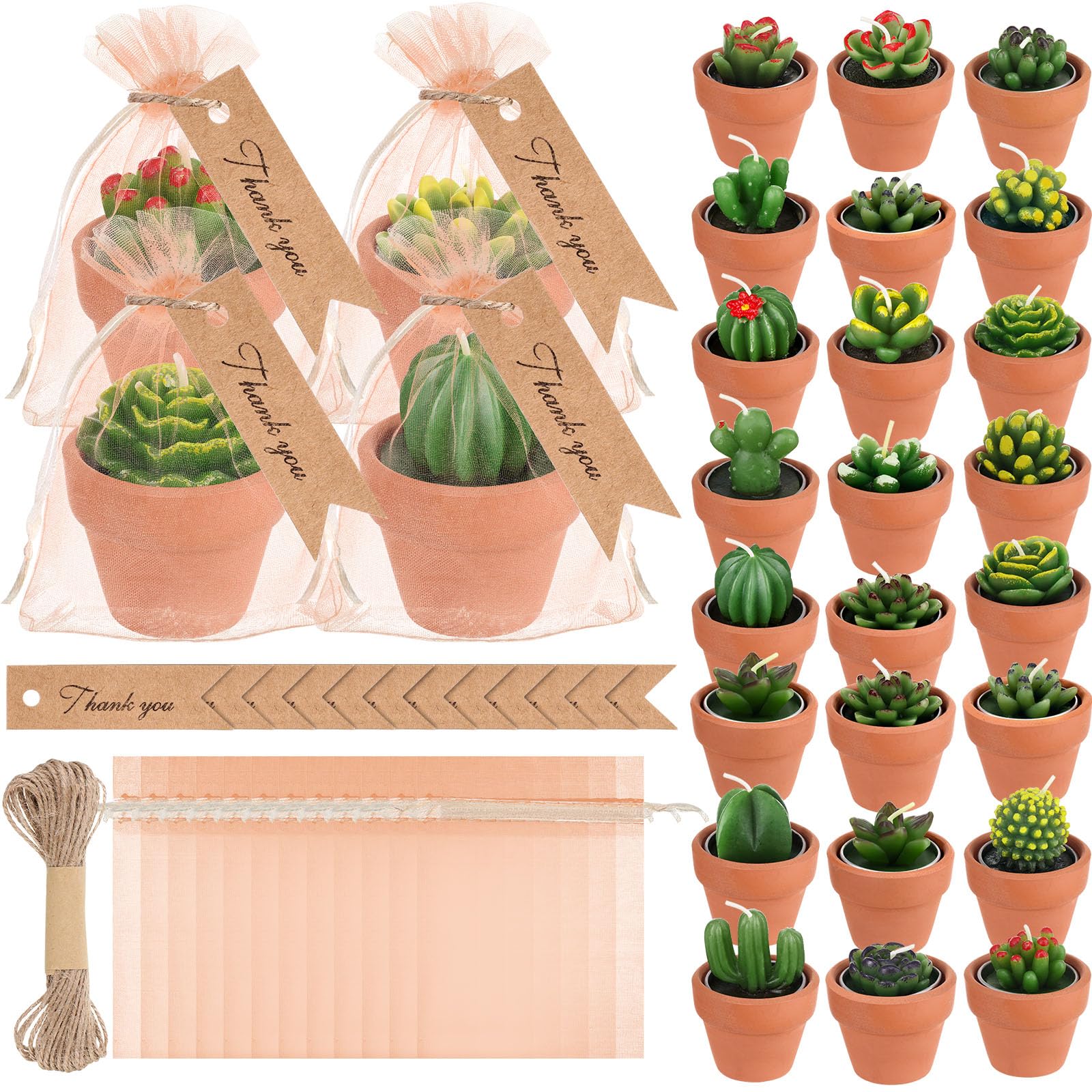 MTLEE 24 Pcs Succulent Tealight Candles - Wedding Party Baby Shower Valentines Gifts Birthday Pack with Terracotta Pot, Organza 