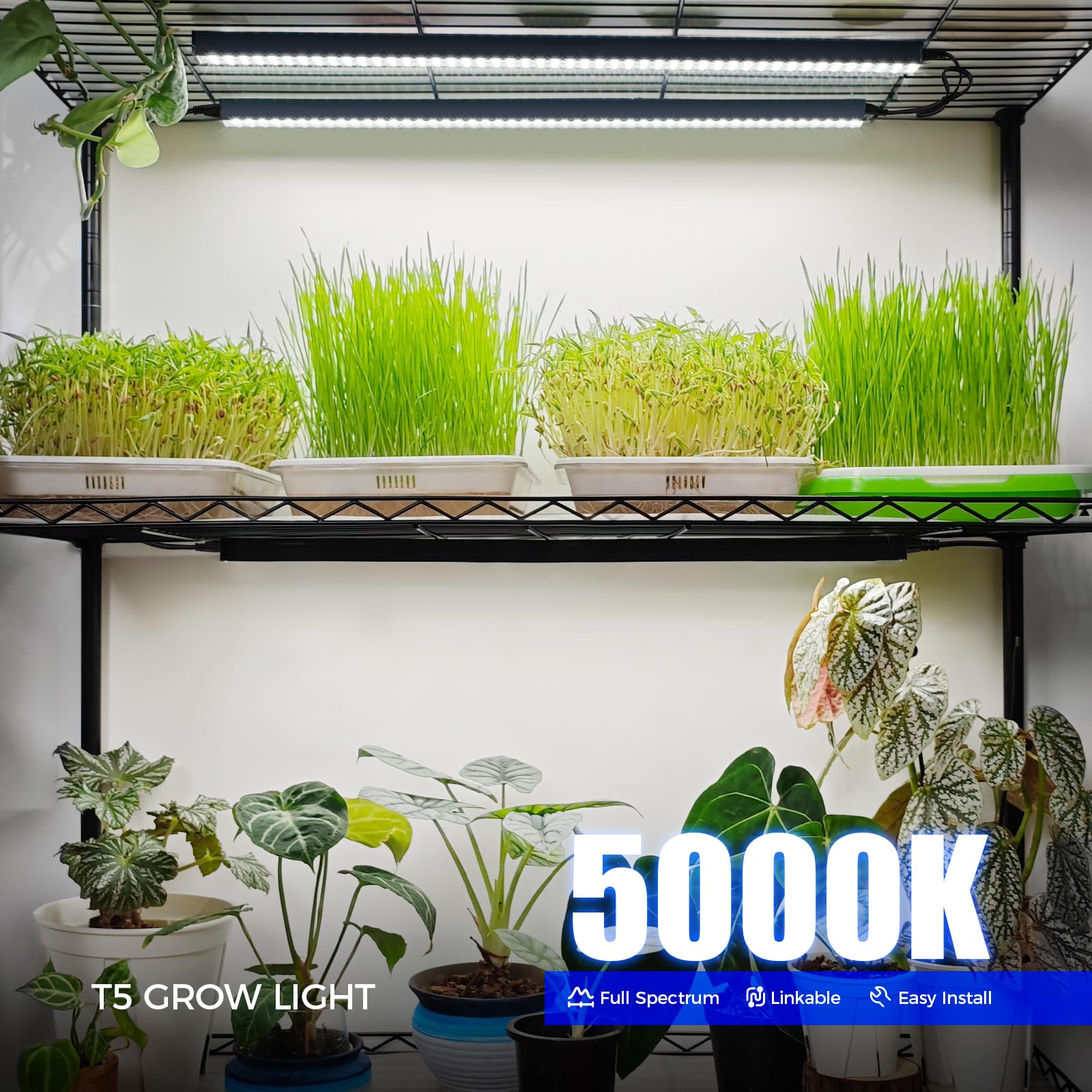 Barrina T5 Plant Lights For Indoor Growing, 1Ft 10W (2 X 5W) Led Grow Light With Magnetic Design, Full Spectrum Grow Light Strip