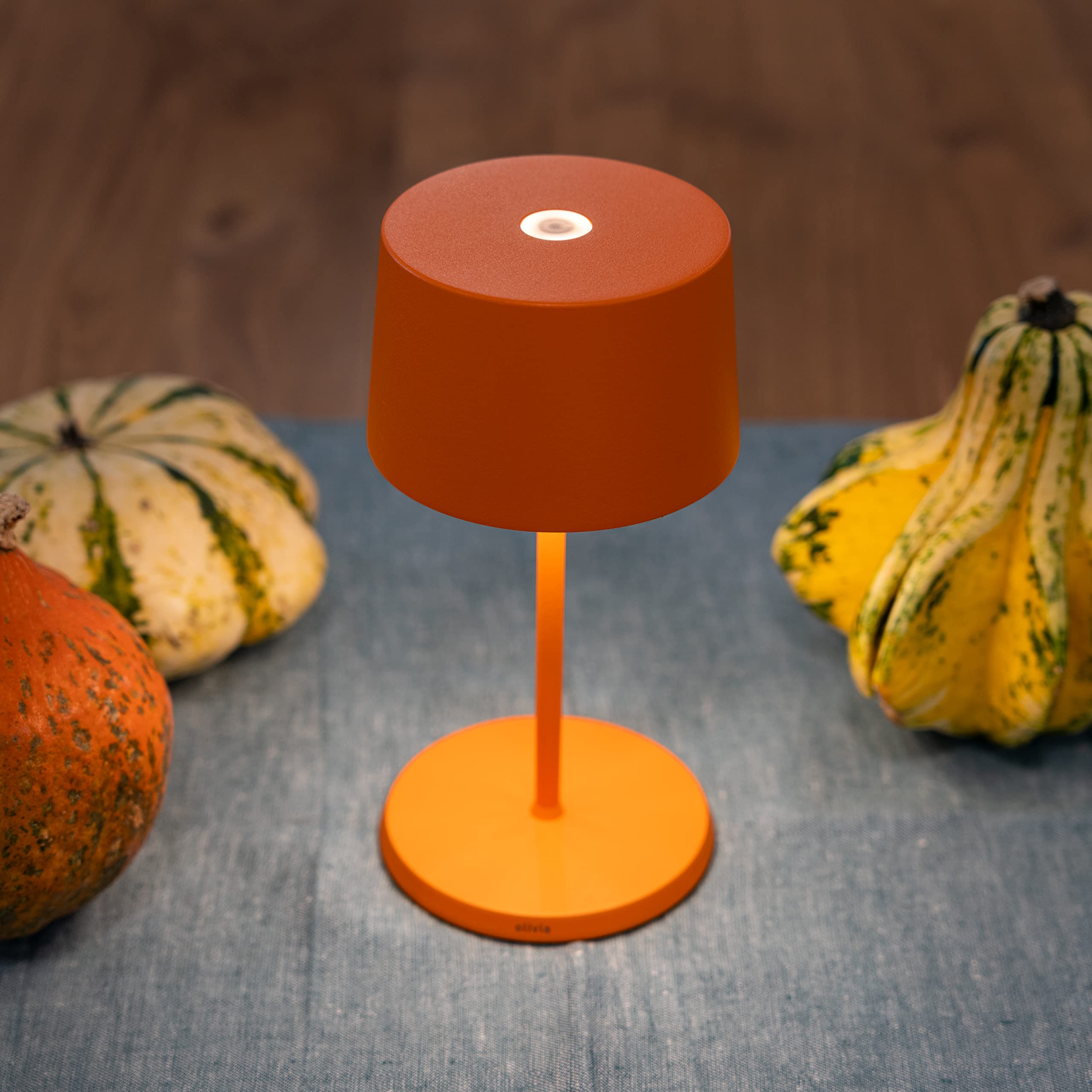 Zafferano, Olivia Mini Lamp, Portable And Rechargeable Table Lamp With Touch Controls, Suitable For Indoor And Outdoor, Dimmer,