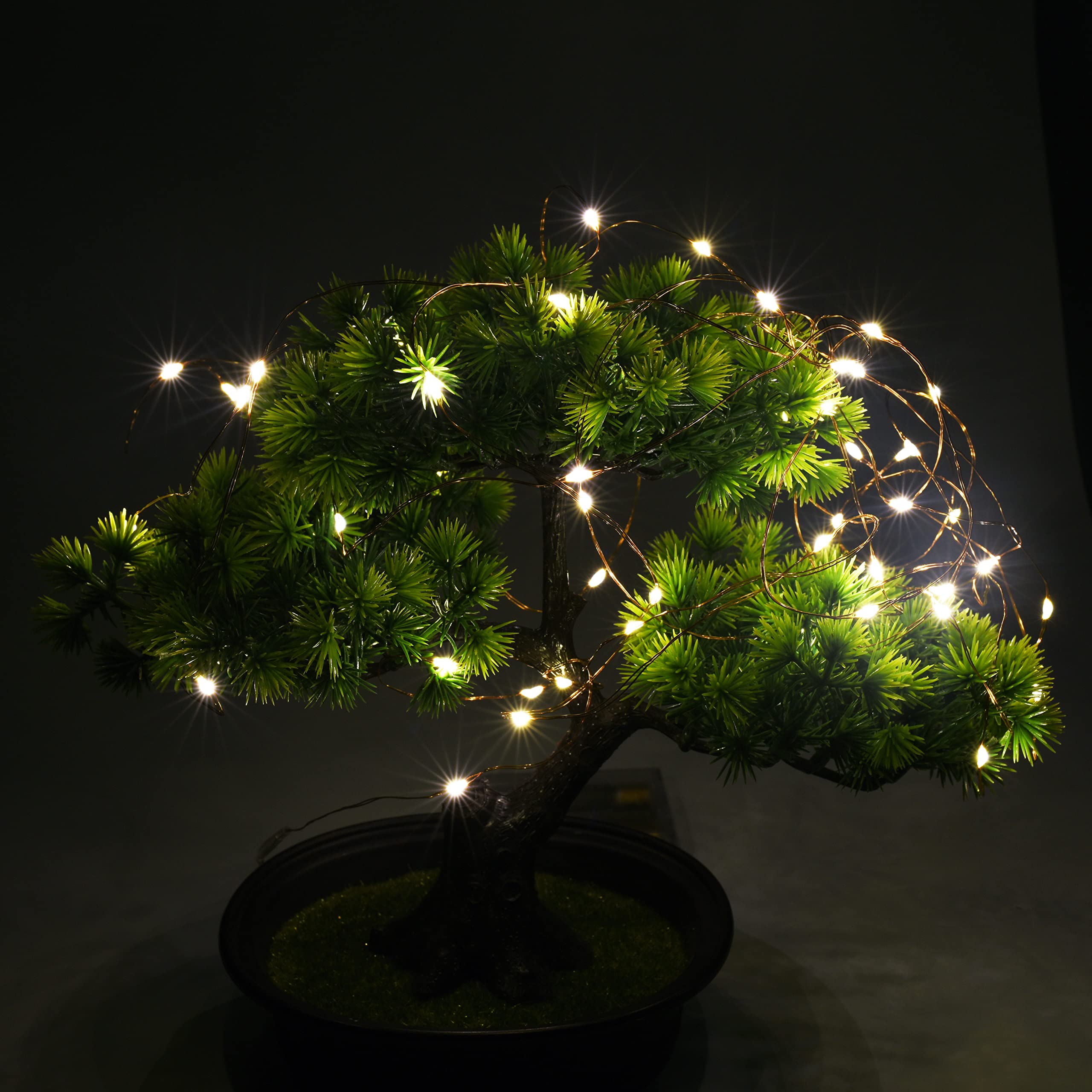 Uhugu Battery Operated String Lights, 16Ft Battery Operated String Lights With 8 Flashing Modes And 8 Hours On 16 Hours Off Timer(Warm White,1 Pack)
