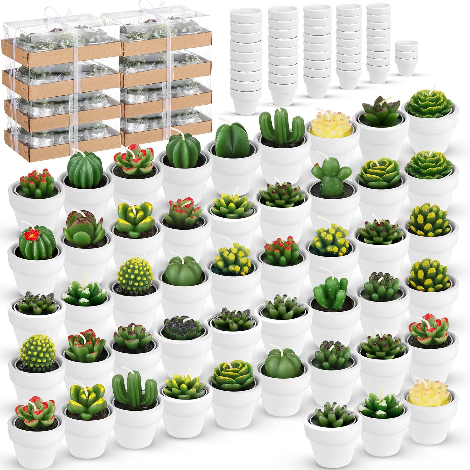 Shihanee 48 Pcs Bulk Succulent Candles Decorative Cactus Tealight Candles Handmade Mini Terracotta Clay Holders House Warming We