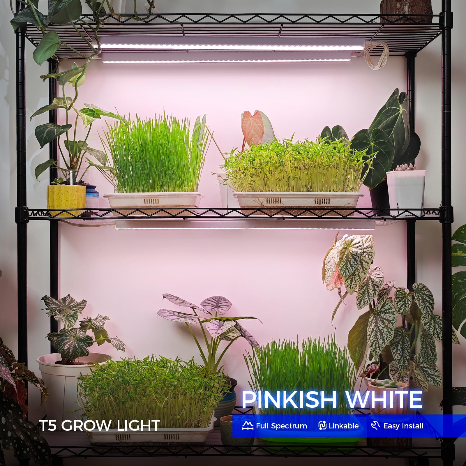 Barrina T5 Grow Lights for Indoor Plants, Full Spectrum, 2ft, 80W, LED Bulbs, 8-Pack, Pinkish White, Model INWT504009650Ec