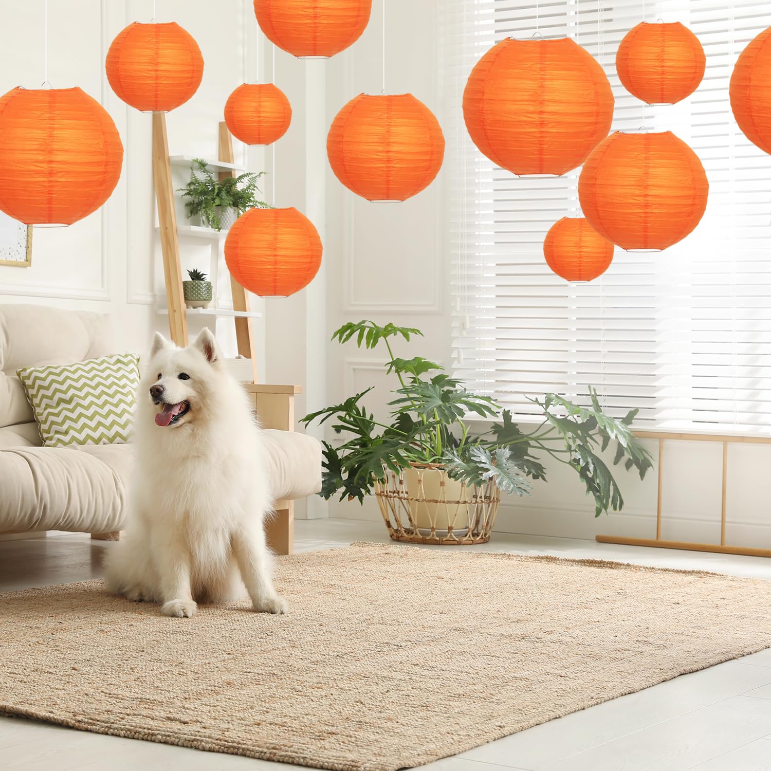 Orange Paper Lanterns 12 Pcs Assorted Size Of 6'' 8'' 10'' 12'' Chinese Round Paper Hanging Decorations Lanterns Lamps For Home