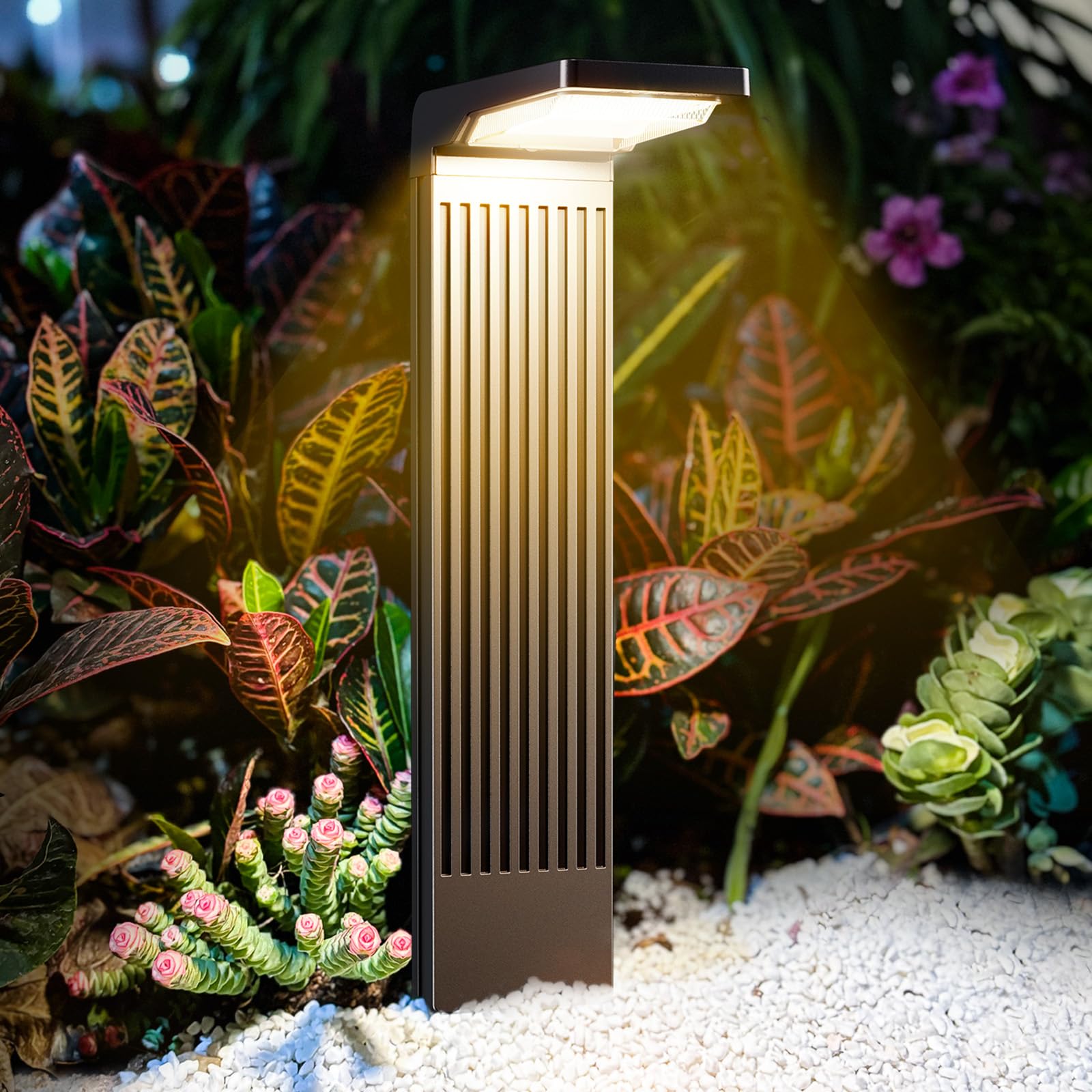 COXSENI Solar Pathway Lights 60LED Waterproof 6Pack Black MOM-030