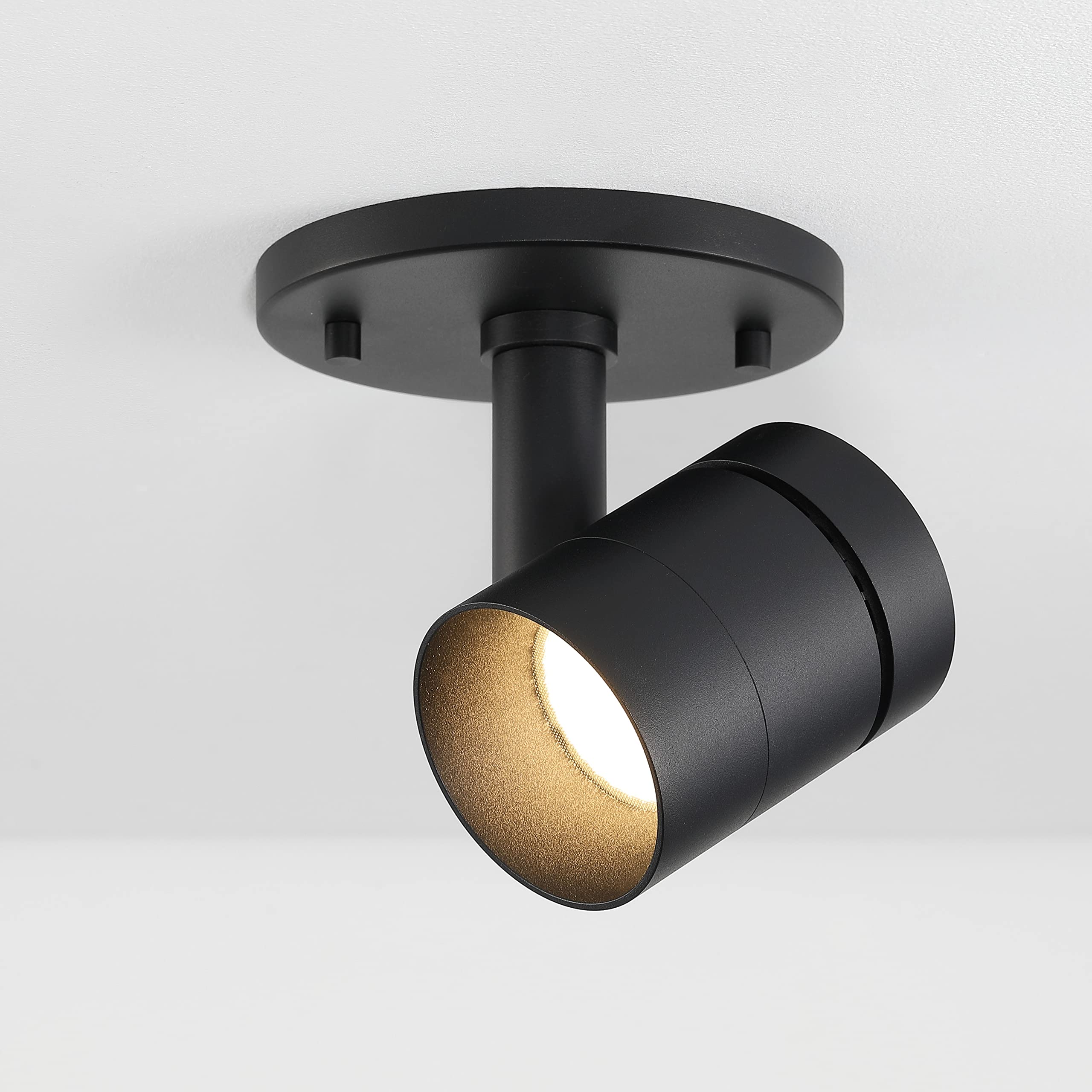 Parry 1-Light Black Spotlight with Adjustable Head, Integrated LED Bulb, Flush Mount Wall Sconce, 3000K, 1370 Lumen
