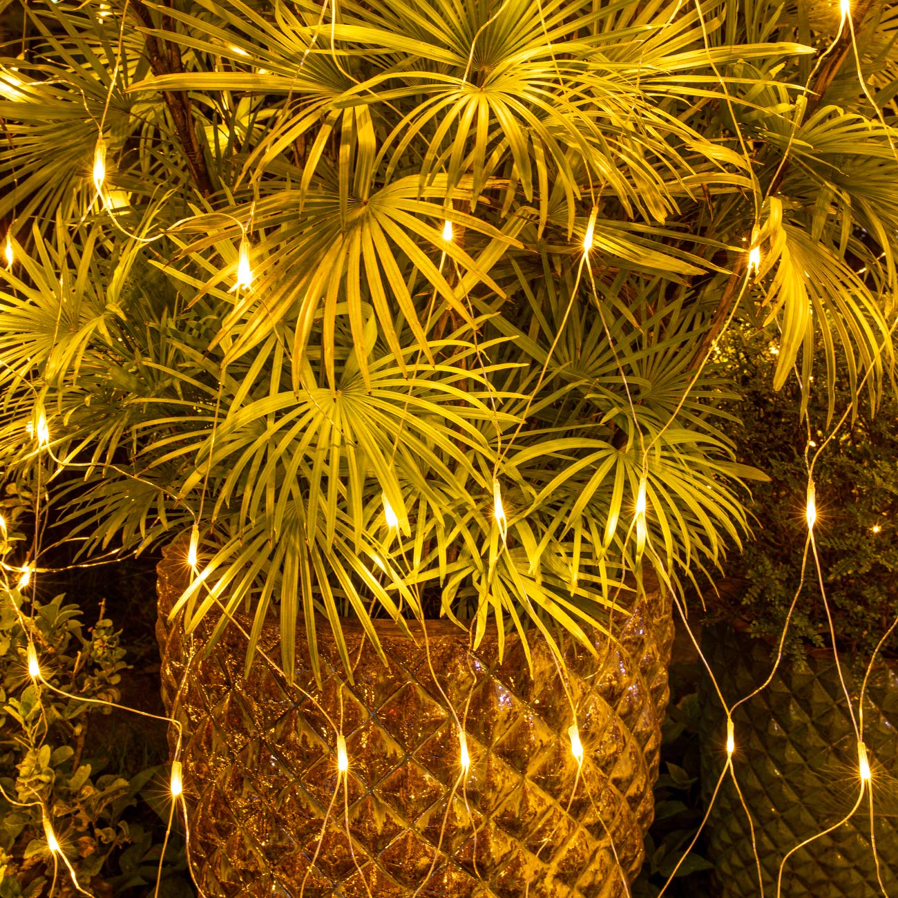 Awq 200 Led 9.8Ft X 6.6Ft String Lights Net Mesh Lights Christmas Net Lights 8 Modes For Christmas Wedding Party Home Garden Lawn Bushes Indoor Outdoor Decor (9.8Ft X 6.6Ft, Warm White)