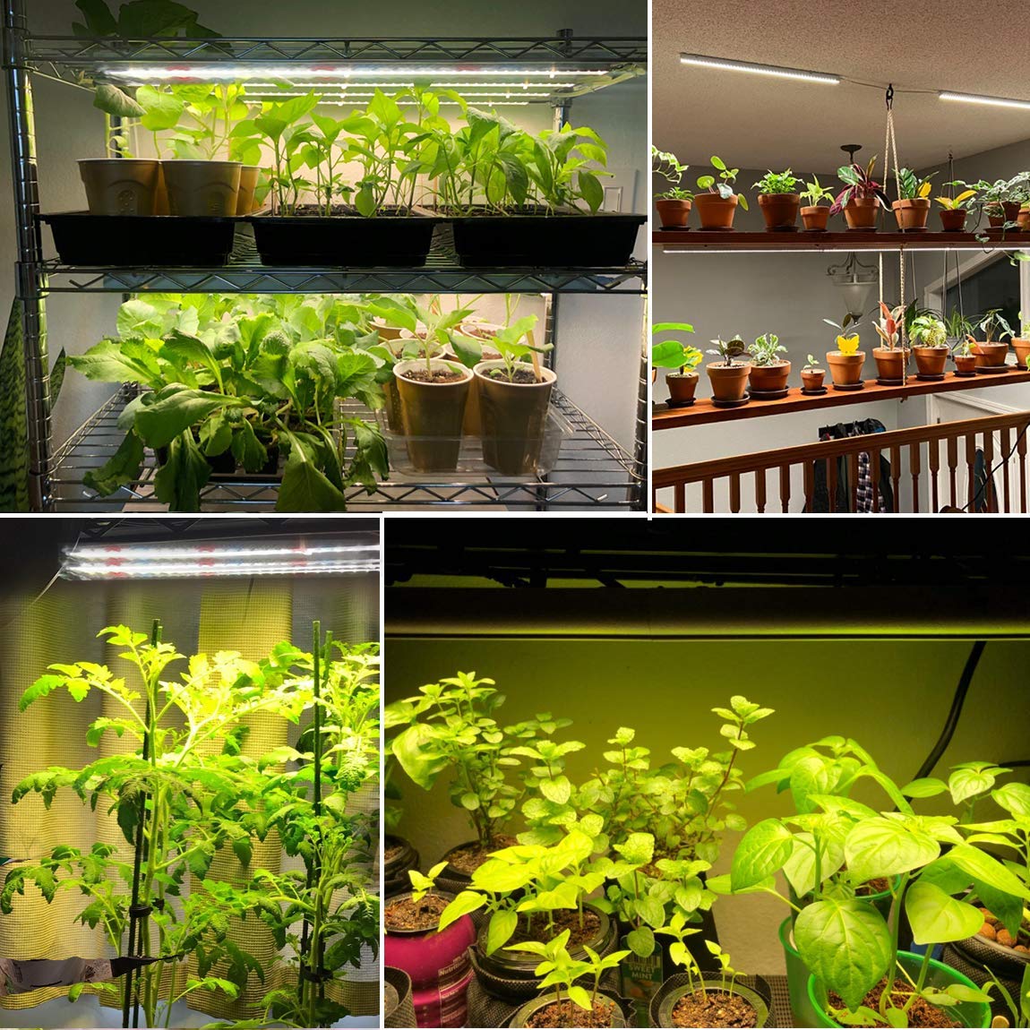 Led Plant Grow Lights Strips For Indoor Plants Full Spectrum With Auto On & Off Timer, T5 Sunlike Grow Lights Bar Growing Lamps For Greenhouse Shelves Hydroponics Succulent, 4 Dimmable Levels