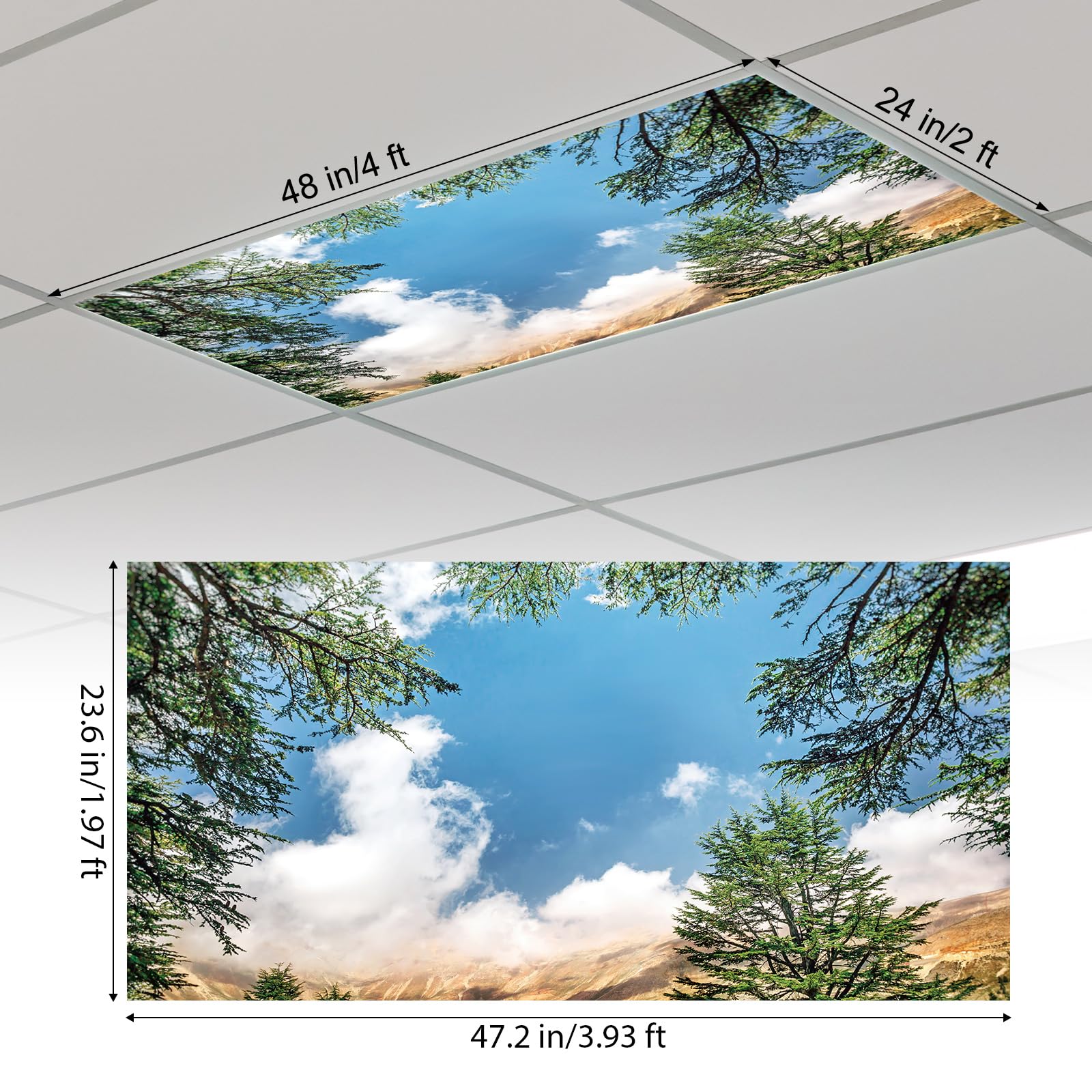 Outus Fluorescent Light Cover with 10 Magnets, 2 x 4 ft, Red, Model TJRW-Outus-5515, Reduces Glare for Classroom and Office