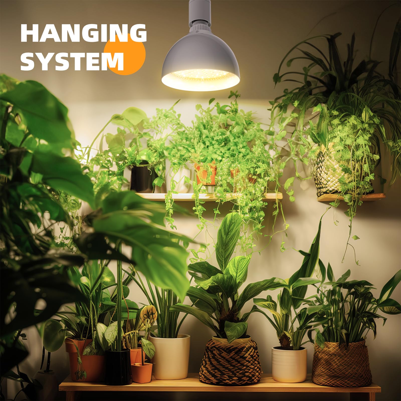 Barrina Hanging Grow Light, 25W Full Spectrum, with Timer, 1-Head, White, Model BLN-GLPAR-1H