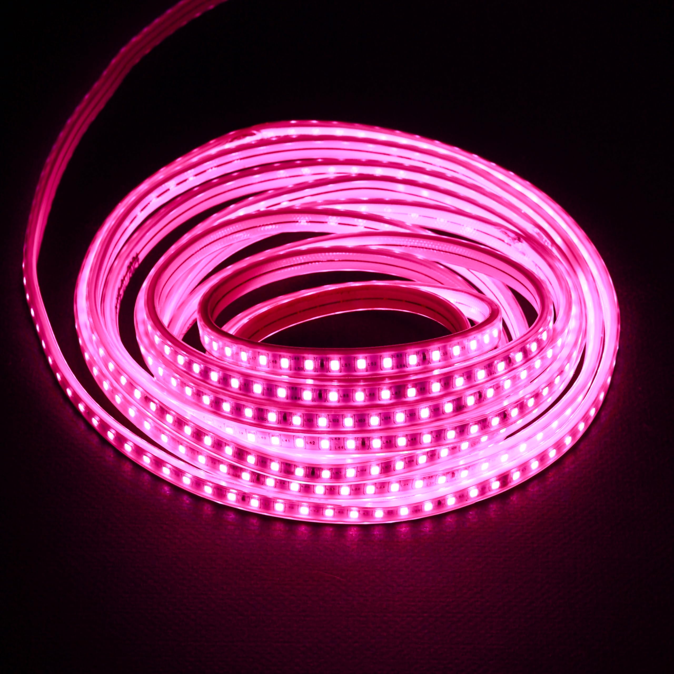 Lexton 5 Meter LED Rope Light for Home Decoration- Cove Light for Ceiling | Led Rope Lights for Diwali Decoration,Birthday,Chris