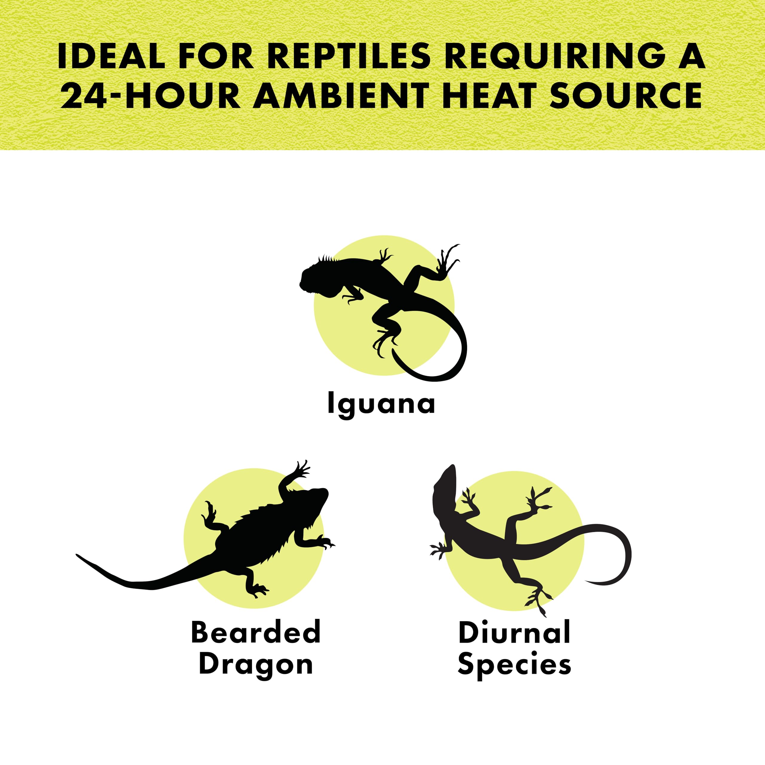 Zilla Incandescent Spot Bulb For Nocturnal Reptiles - Night Black, 1 Count