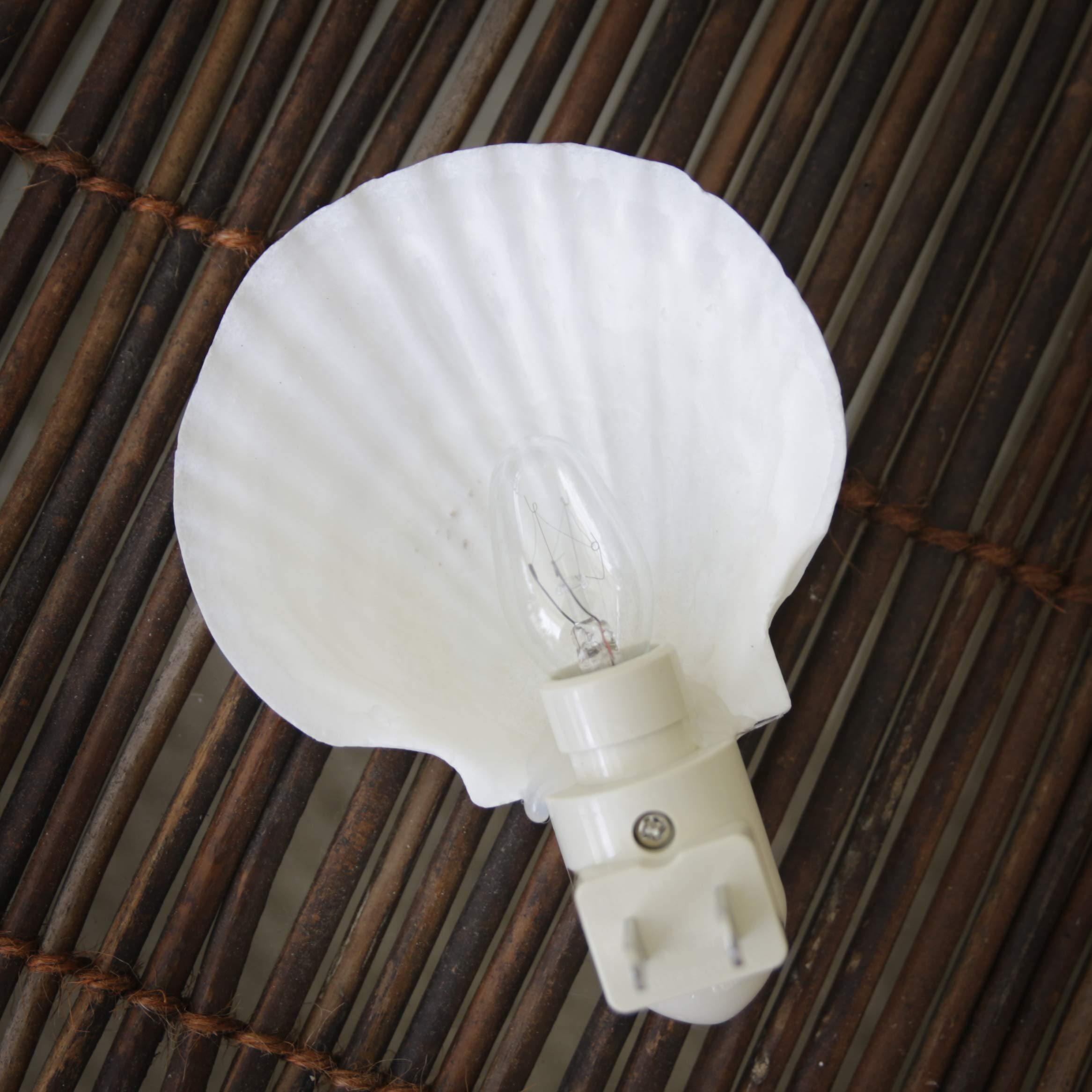 Tumbler Home Real Sea Shell Night Light, 1-Pack, Natural White Decor, Model 1shelllight