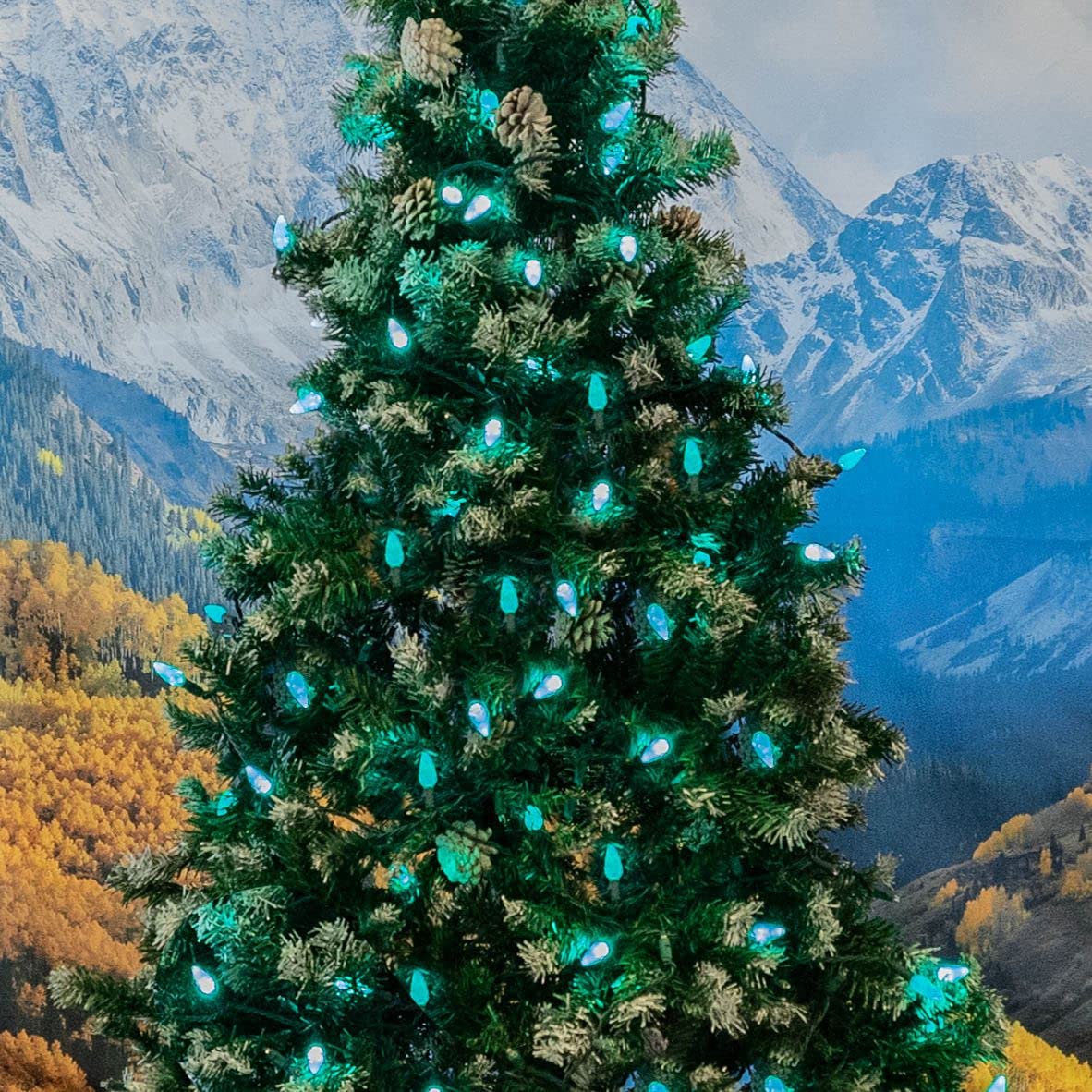 Novelty Lights C6 Led Christmas Mini Light Set, 70 Lights, 24Ft, Green Wire, Commercial Grade Outdoor Lighting